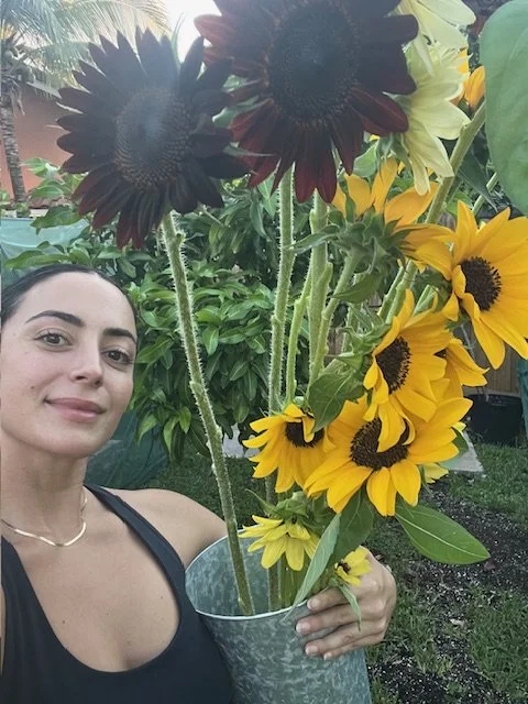 Bucket of Sunflowers