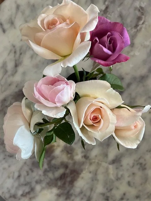 Roses