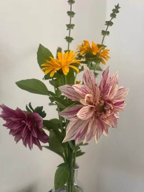 Dahlia, Calendula, Basil