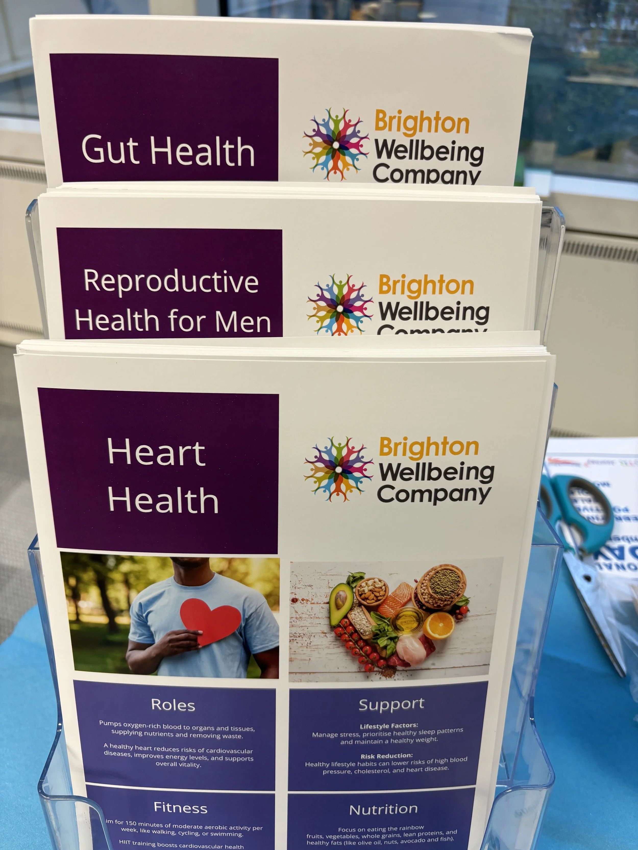 Brochure rack containing three pamphlets titled 'Gut Health,' 'Reproductive Health for Men,' and 'Heart Health' from the Brighton Wellbeing Company.