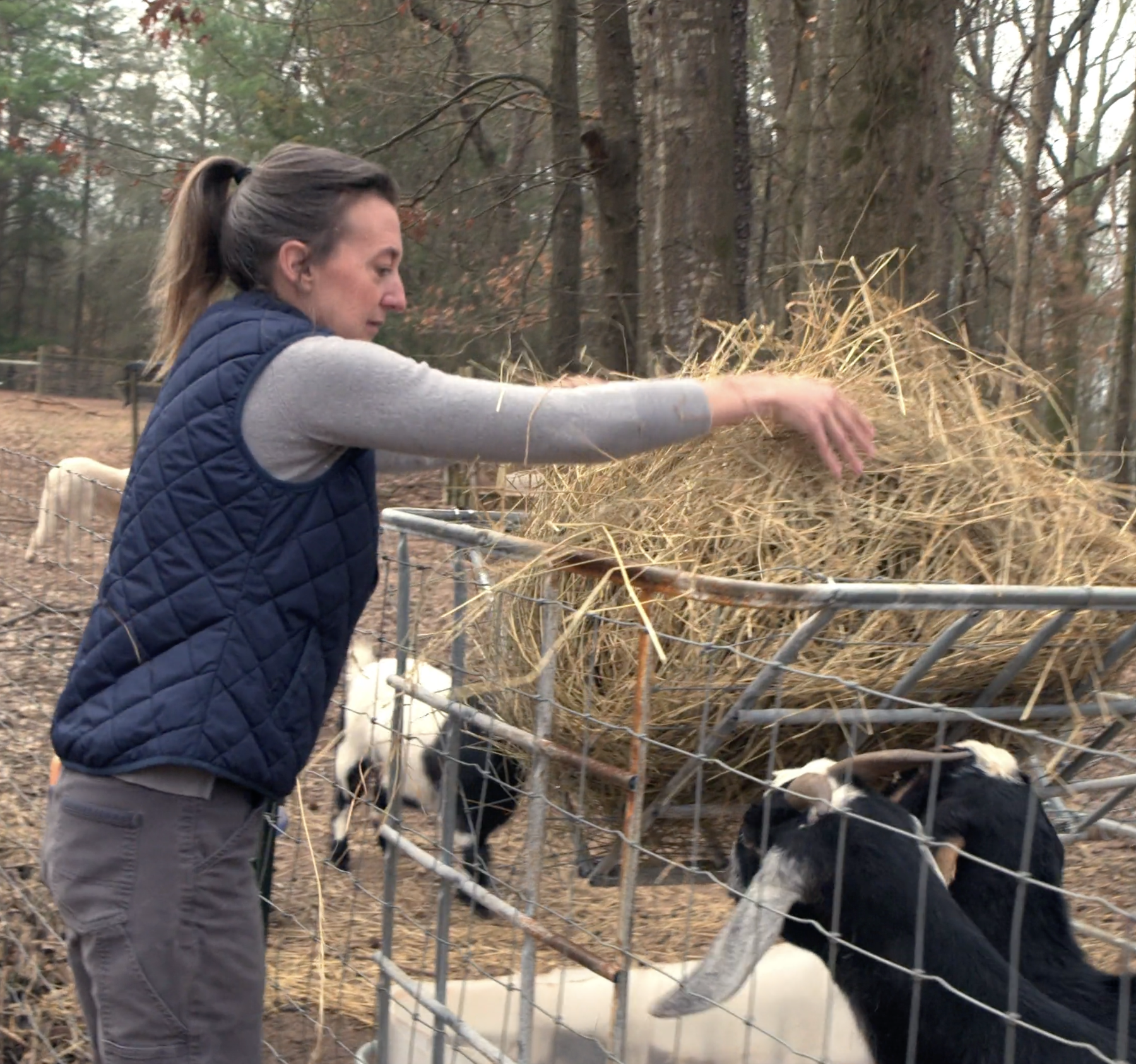 Success Story - Project Victory Gardens