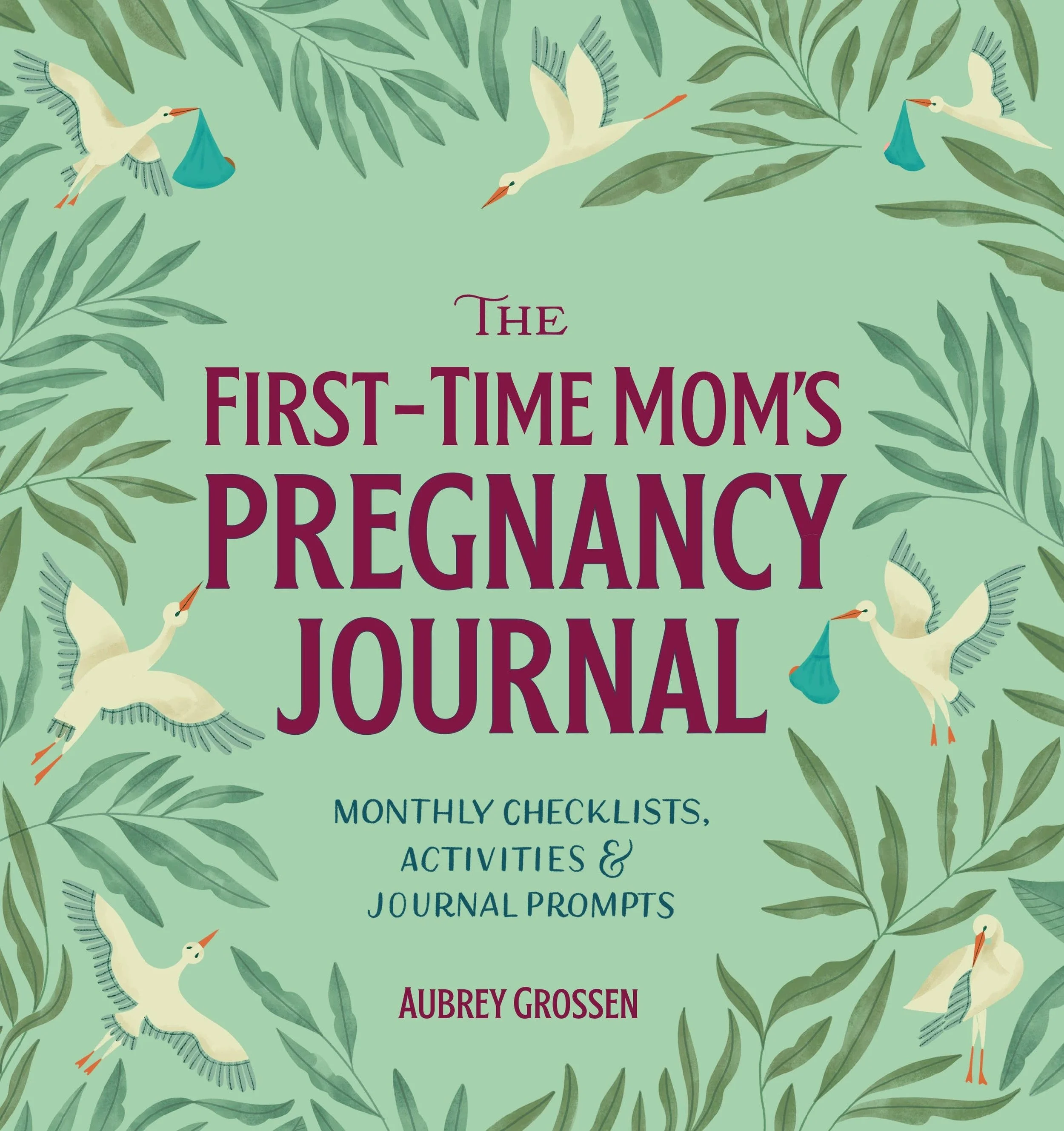 Sourcebooks - First-Time Mom's Pregnancy Journal