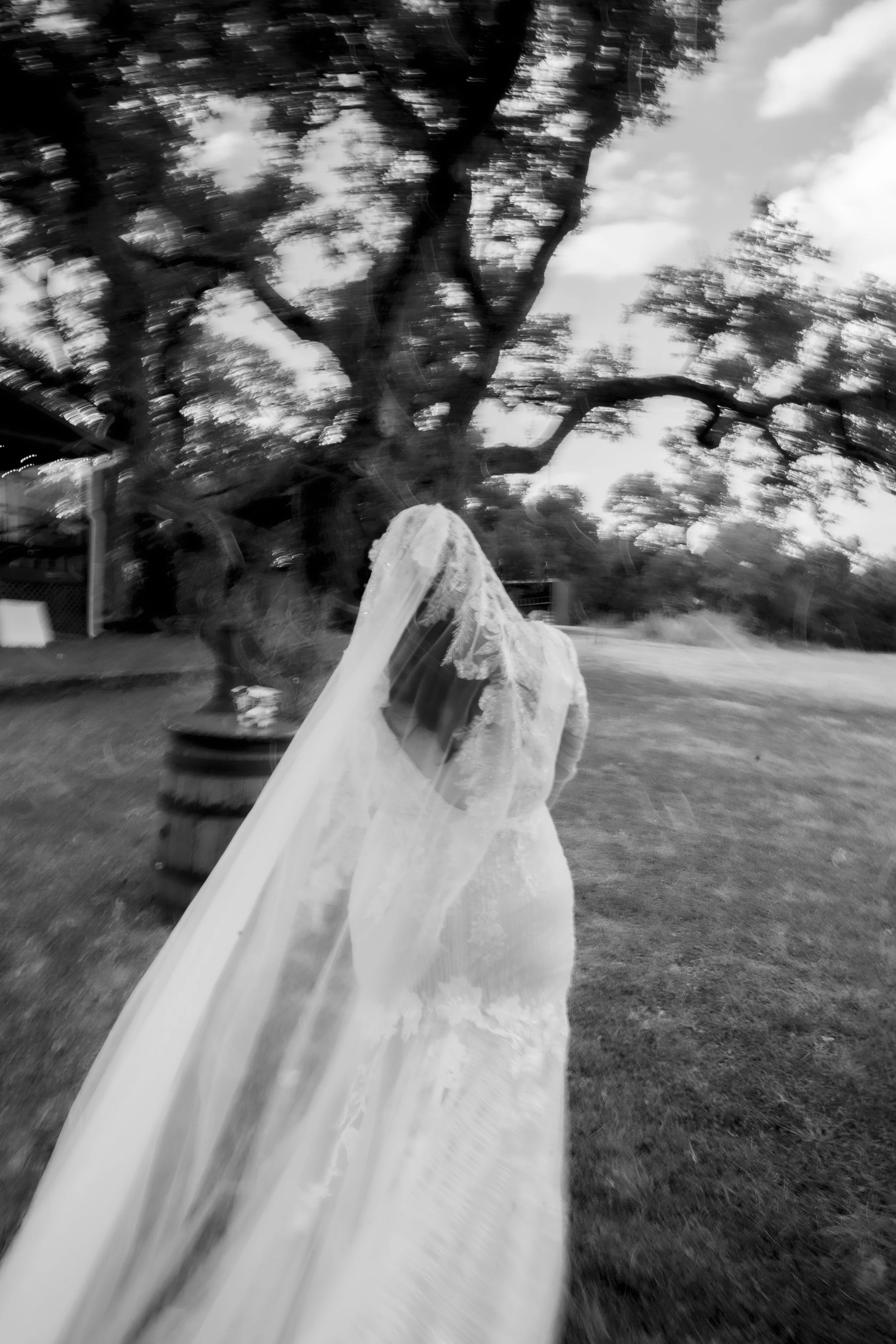 A bride in a wedding dress and veil walking outdoors near a large tree with spreading branches, captured in black and white with a motion blur effect.