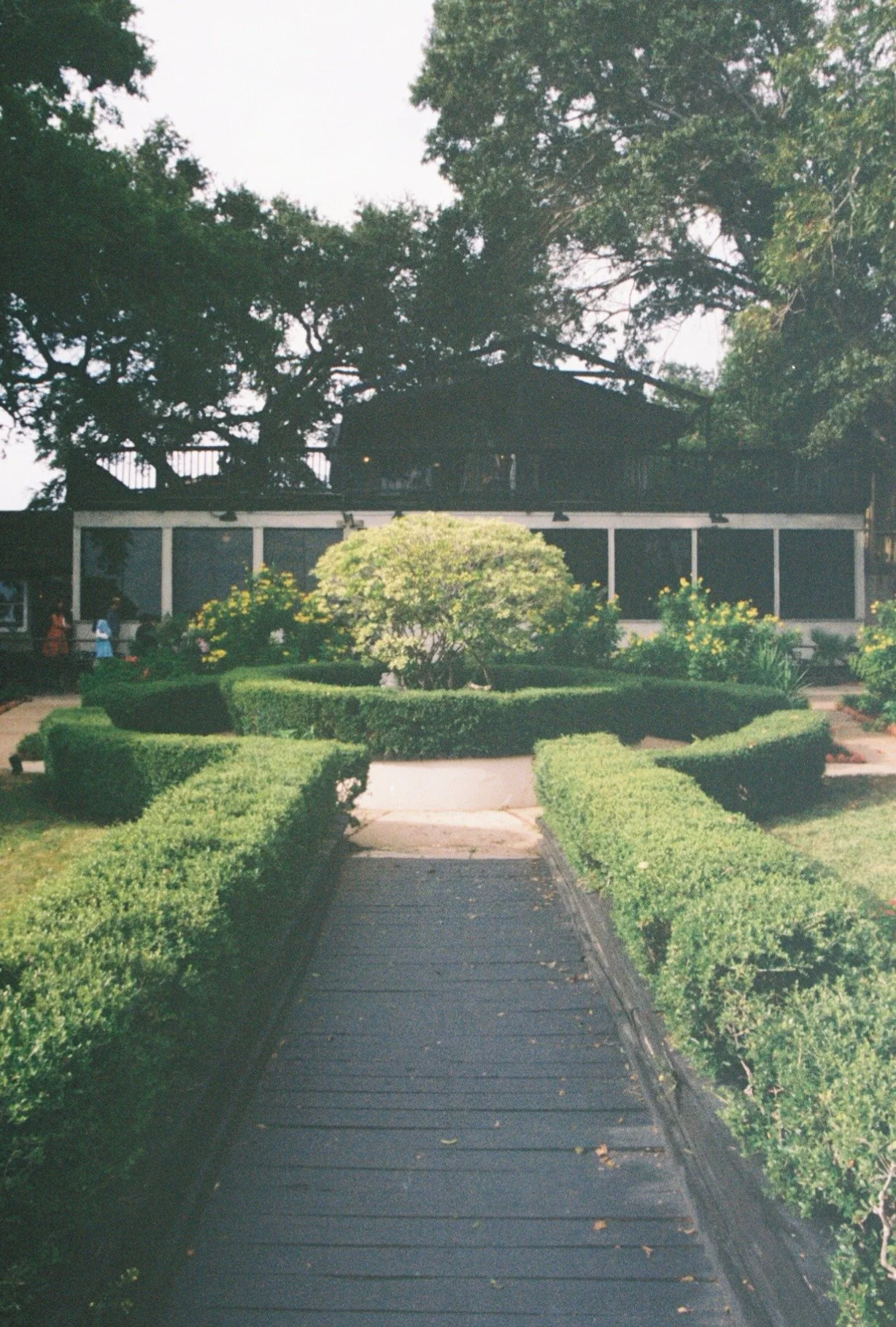 A garden with a paved walkway leading to a building with a screened porch, surrounded by trimmed bushes and trees.