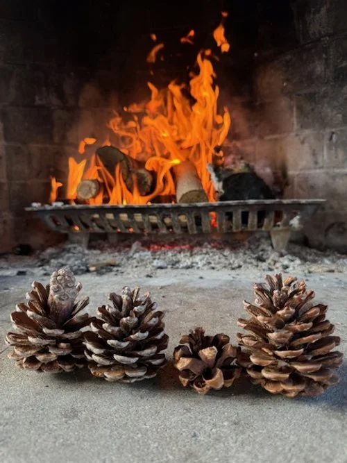 Pinecones for the four directions and sacred geometry of The Spiral Path.