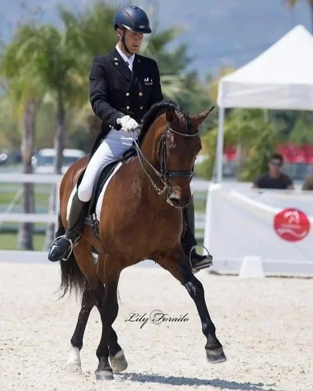 A person in a formal riding outfit on a brown horse during a horseback riding event.