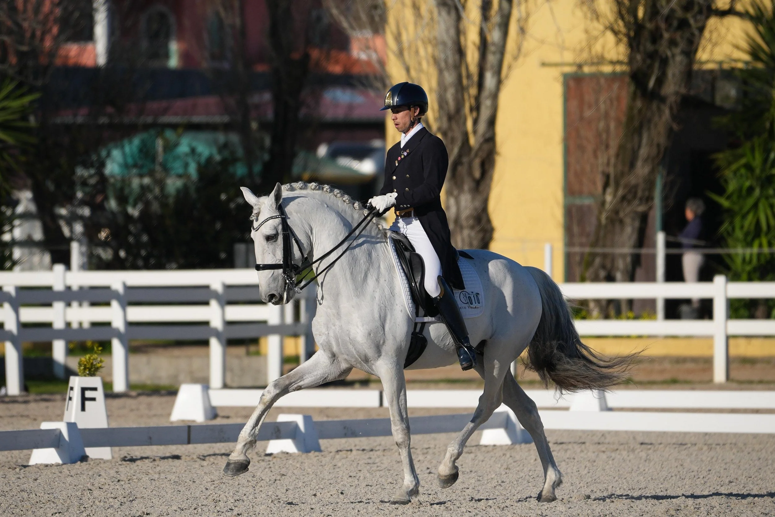 A male equestrian rider in formal riding attire, including a black coat, white breeches, gloves, and a helmet, riding a white horse in a dressage arena with white fencing.