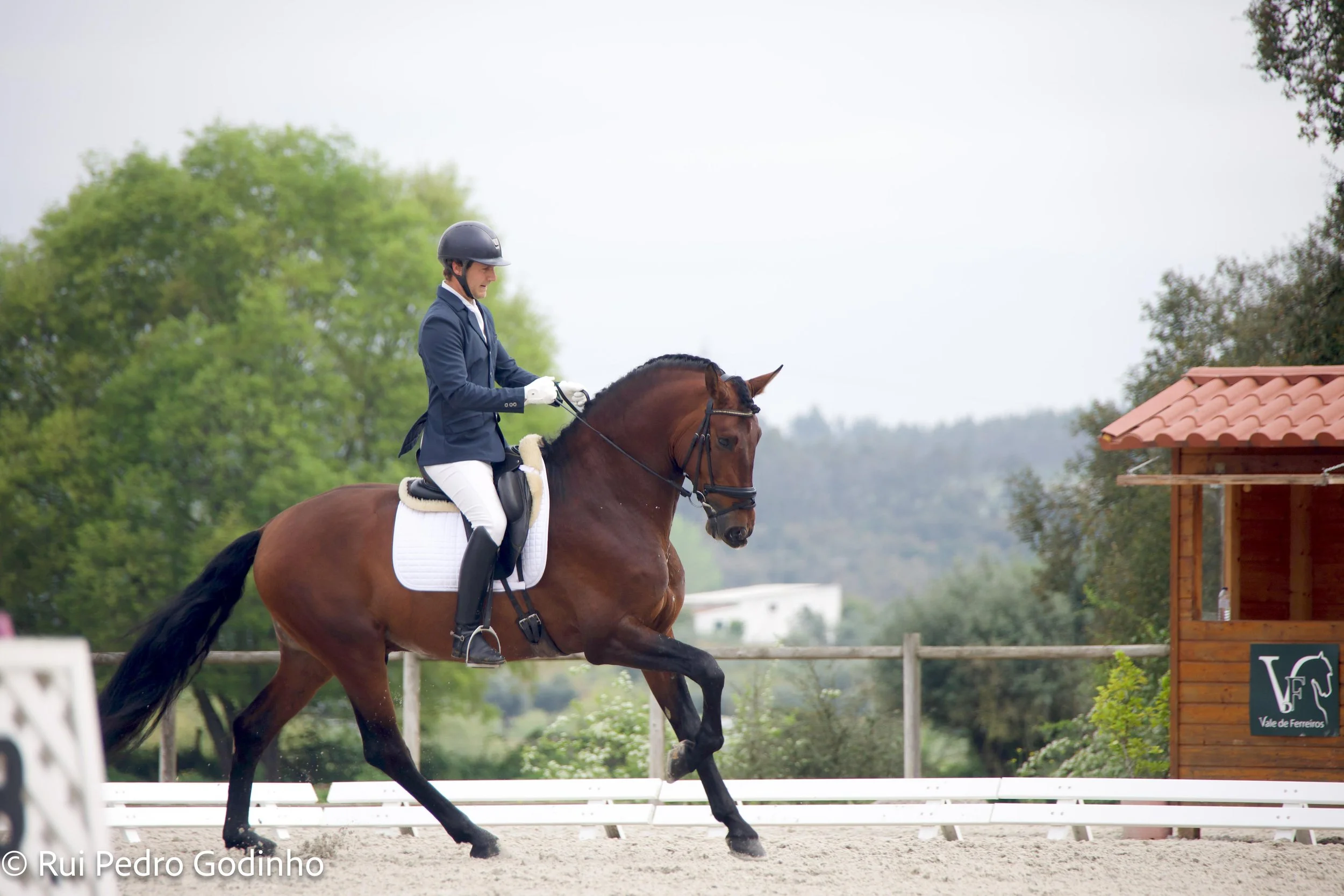 A rider in formal equestrian attire, including a helmet and jacket, riding a brown horse in a fenced outdoor arena during a dressage or show jumping event.