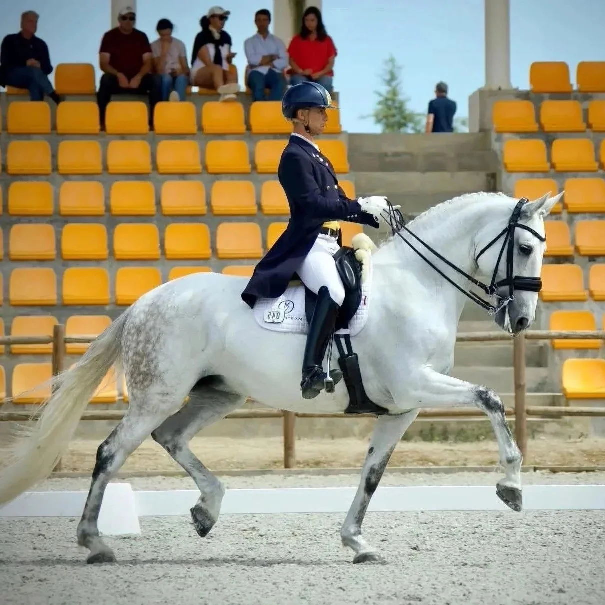 A woman dressed in equestrian competition attire riding a white horse with a braided mane during a show in an arena with yellow seating and spectators.