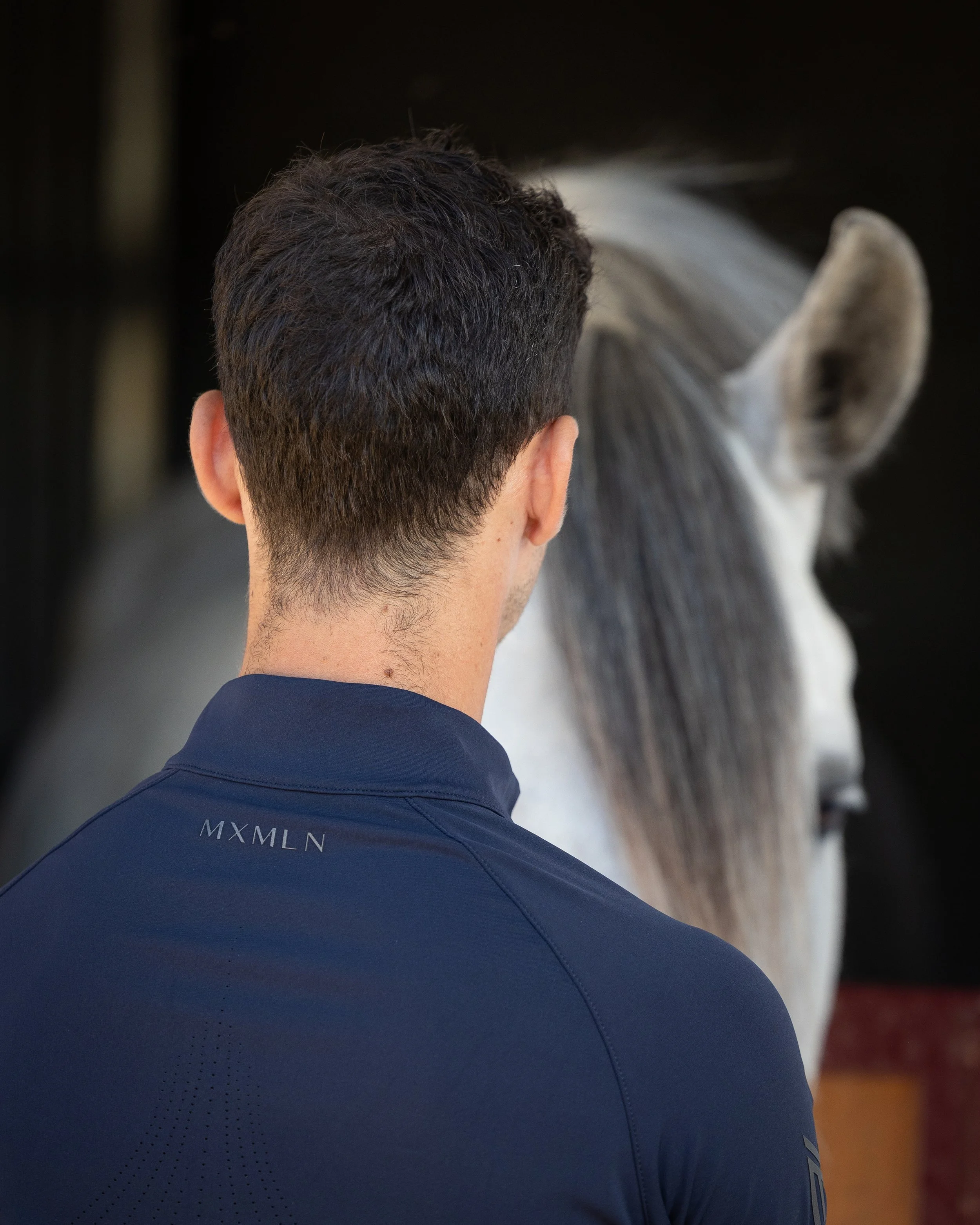 Back of a man with short dark hair wearing a navy sports shirt, facing a white horse with a gray mane in a stable.
