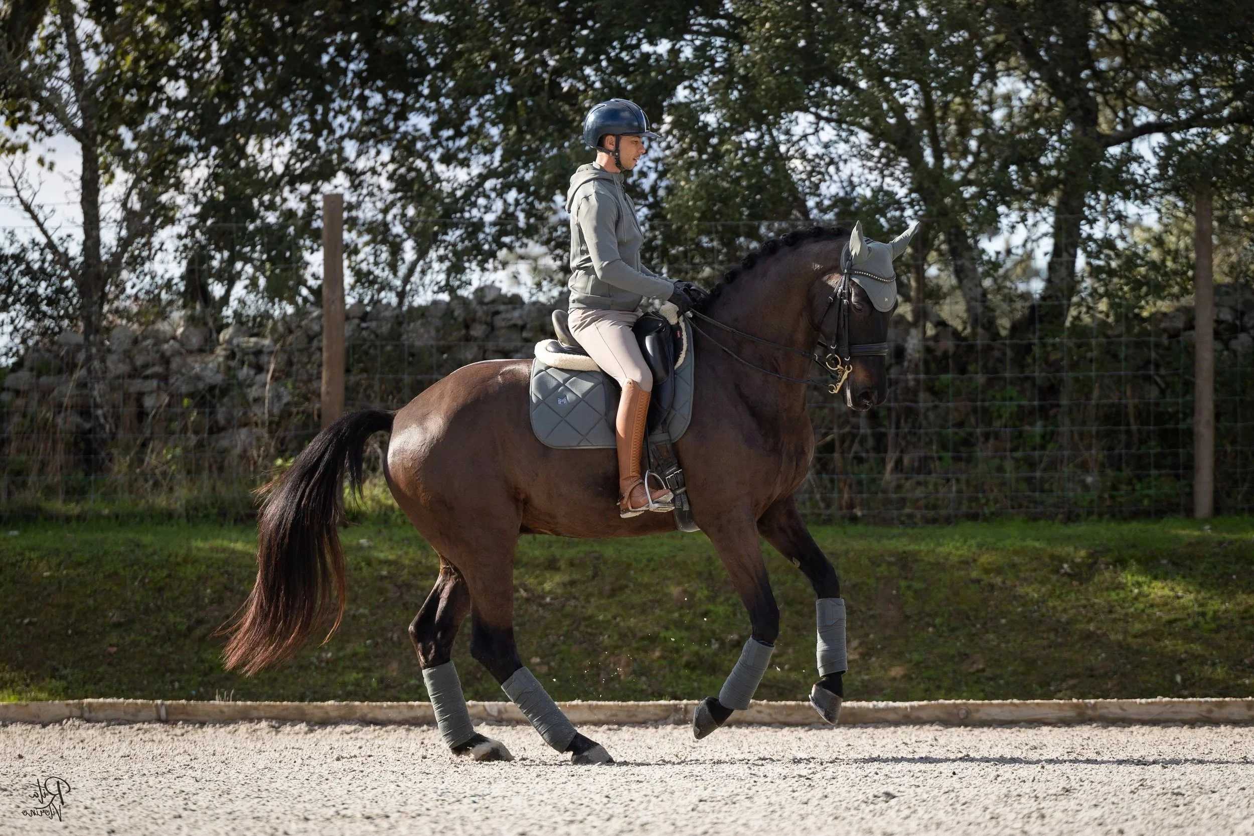 A person riding a brown horse on a riding arena with a grassy background and trees, wearing riding gear including a helmet and gloves.