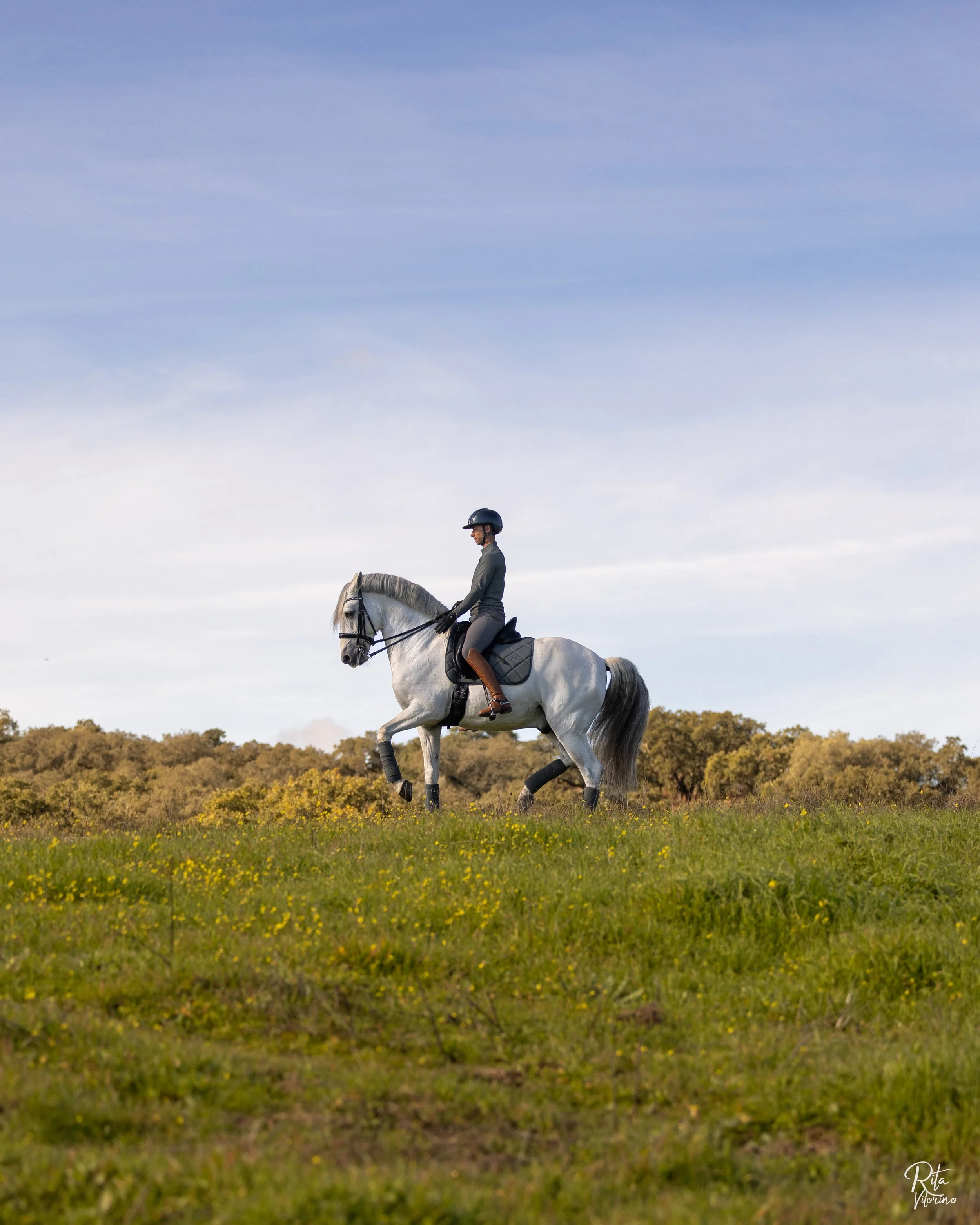 A woman riding a white horse in a grassy field under a blue sky with few clouds.