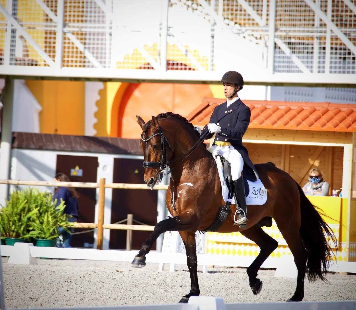 A young woman in equestrian competition riding a brown horse with a black mane and tail, dressed in formal riding attire, black helmet, navy coat, white breeches, and gloves, performing a dressage routine in an outdoor arena.
