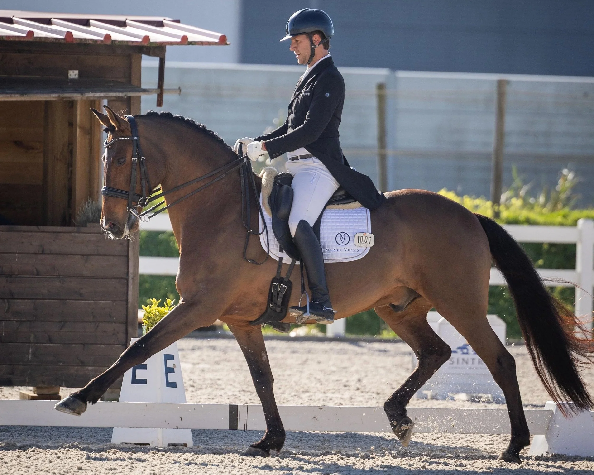 A person in formal riding attire riding a brown horse during a dressage event.