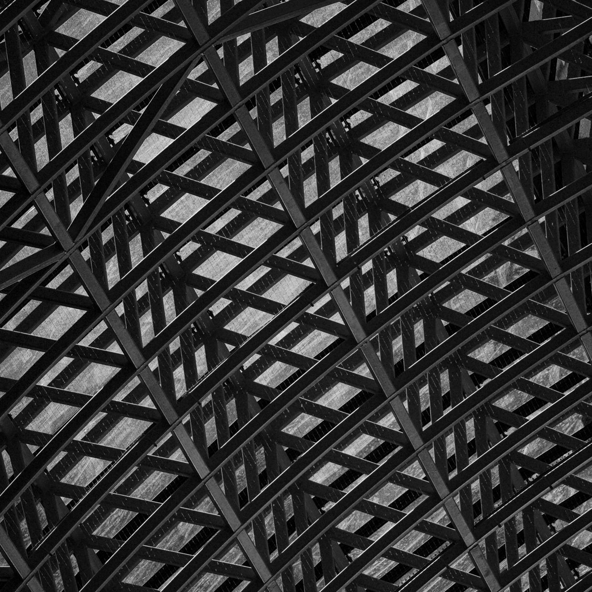 Lattice