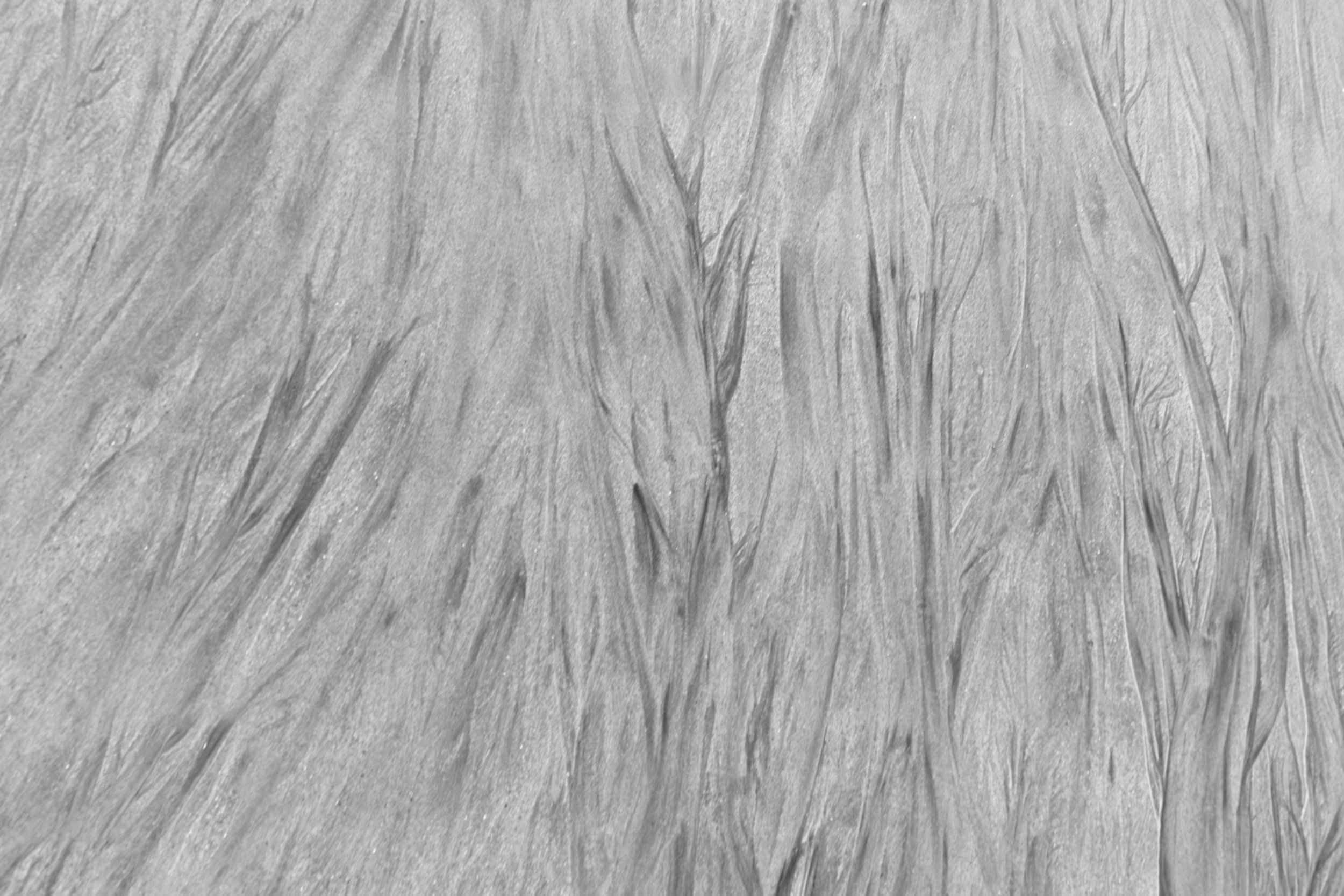 Minimalist Abstract Black and White photo of sand texture