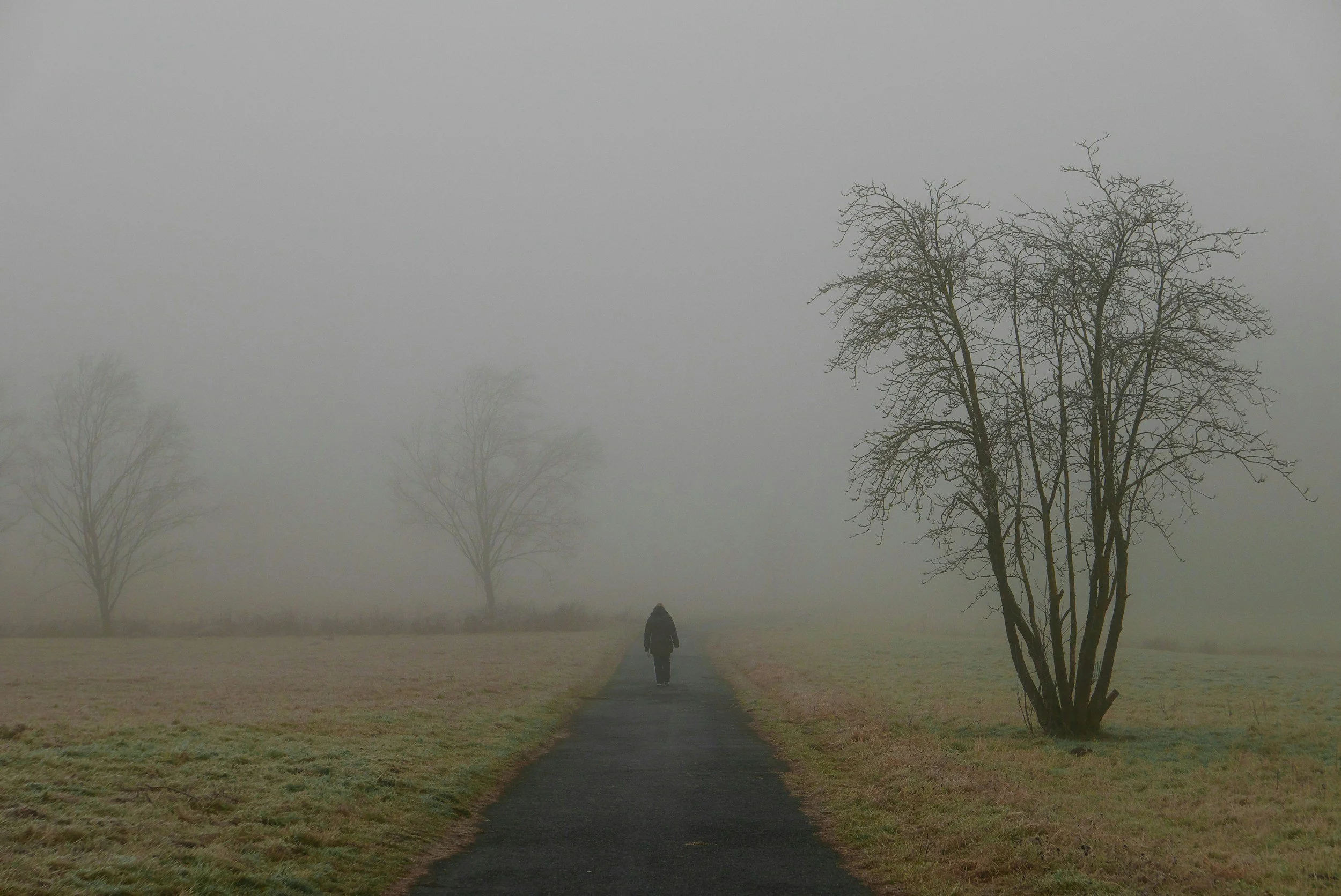 person walking along a path through mist symbolising emotional states gradually becoming understandable