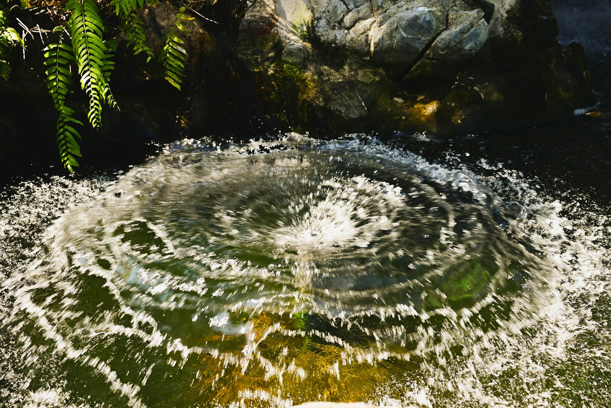 How Anxiety and Avoidance Work Together