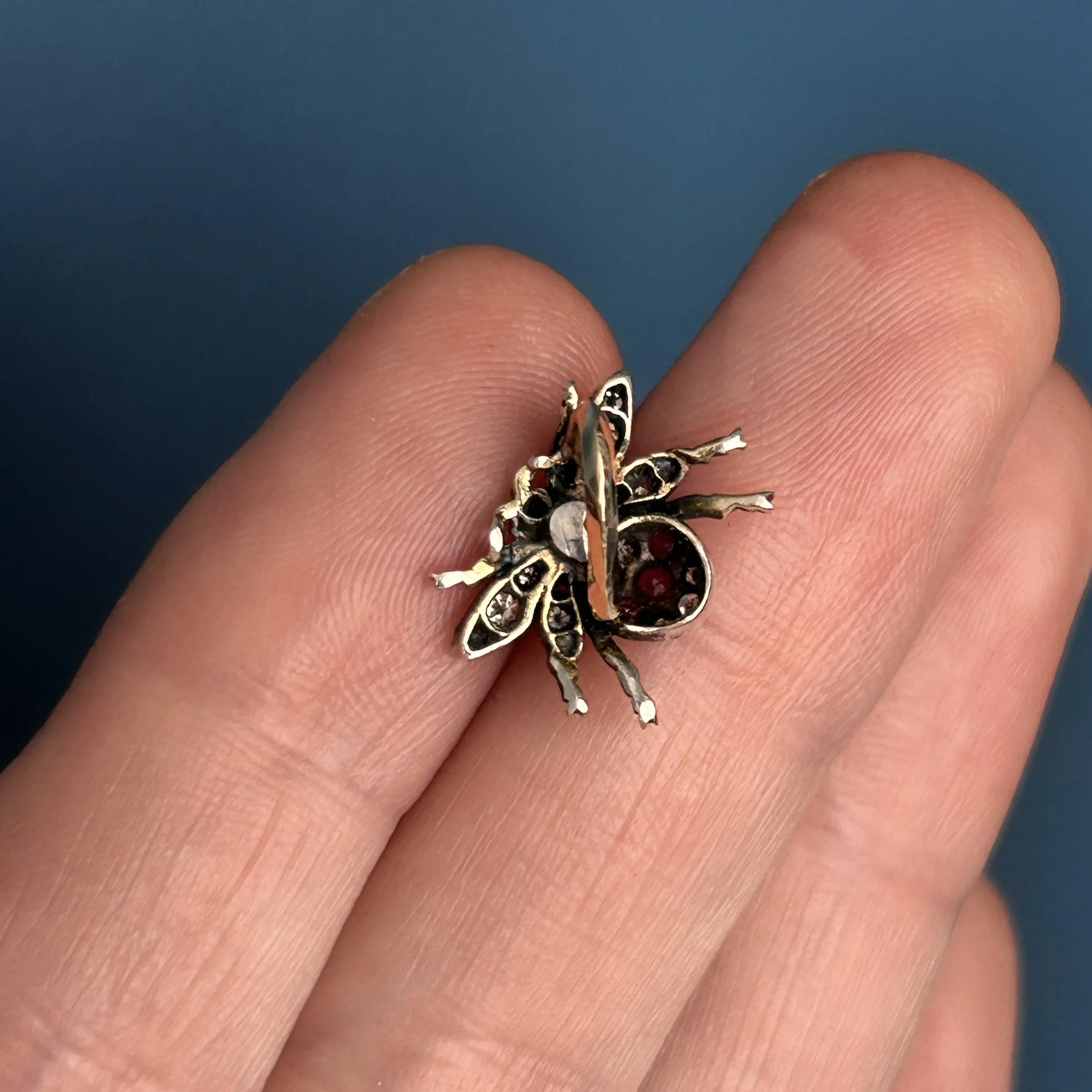 IMG_7025.jpg