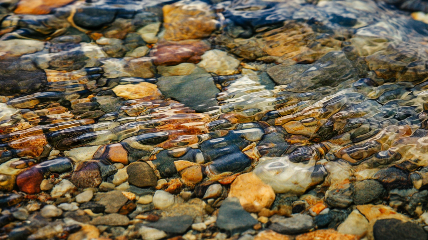 Close-up of colorful stones and pebbles under clear, shallow water.