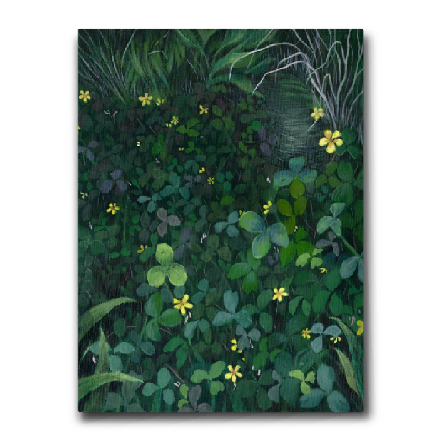 Forest Floor