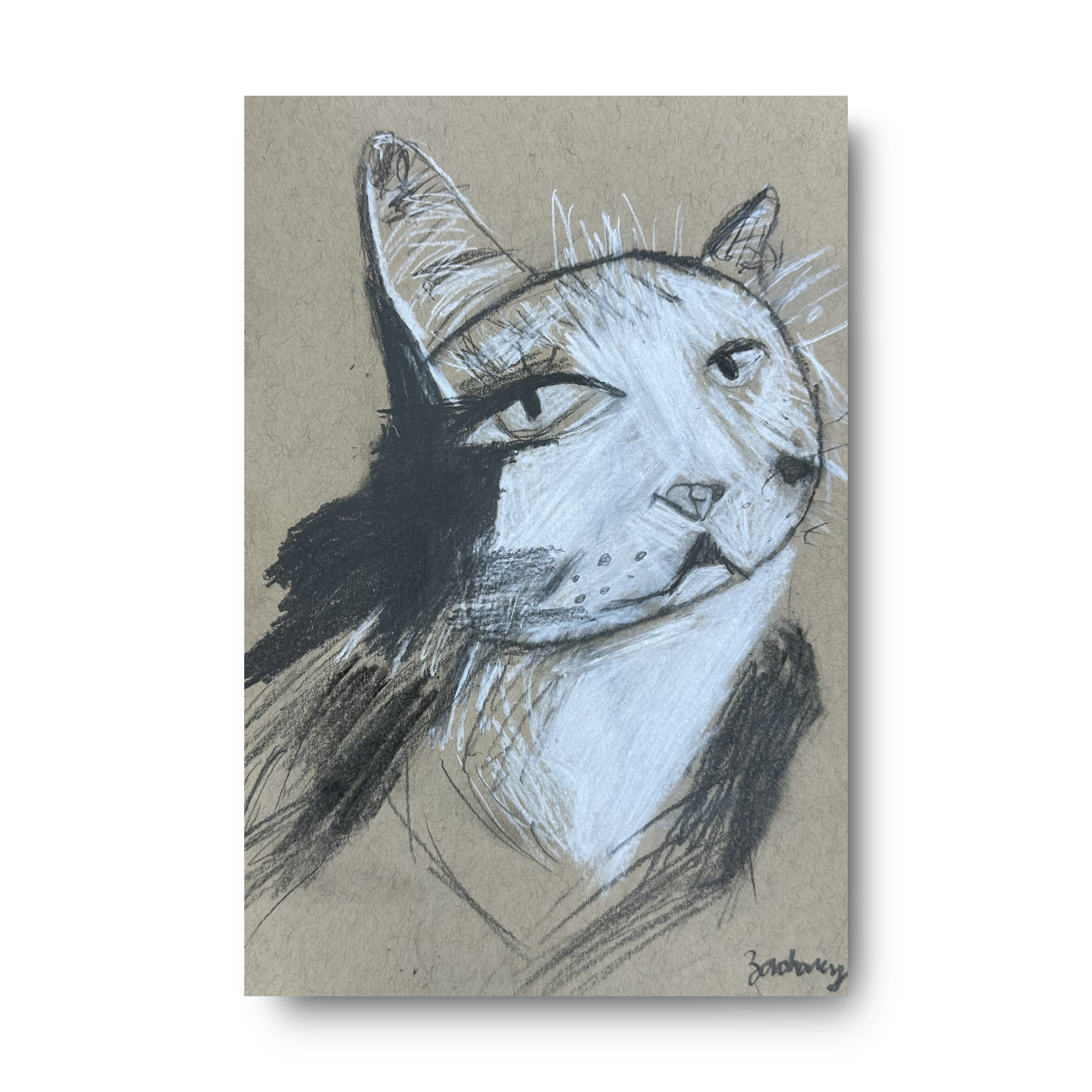 IMG_2725.PNG