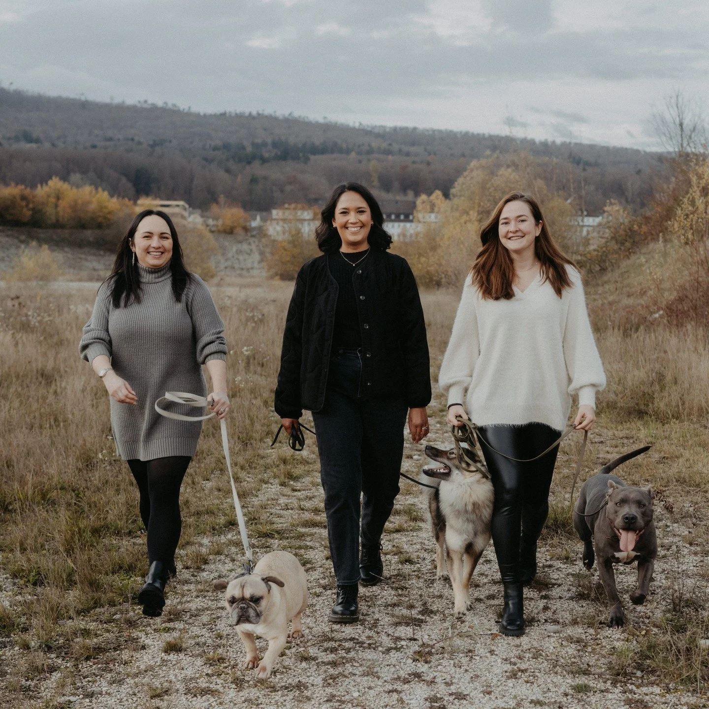 Vor 2 Monaten habe ich mein Herzensprojekt Pure Dog Academy online gestellt. 🐾

Seitdem durfte ich schon viele wunderbare Hund-Mensch-Teams begleiten und wertvolle Begegnungen erleben. Daf&uuml;r bin ich von Herzen dankbar.

Bei mir geht es nicht um