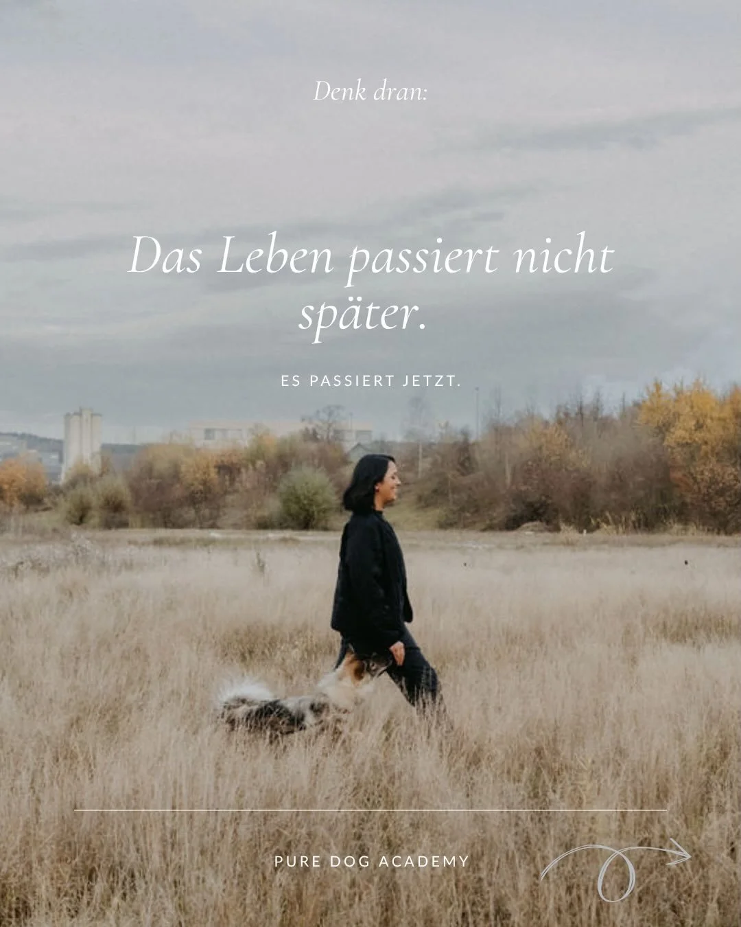 Dein Hund kennt keine Vergangenheit, die ihn festh&auml;lt, 
und keine Zukunft, die ihn &auml;ngstigt. 

Er lebt im Jetzt &ndash; ehrlich, echt und mit ganzem Bewusstsein. 🐾 

W&auml;hrend wir oft im Aussen suchen, was uns fehlt, 
zeigt er uns leise