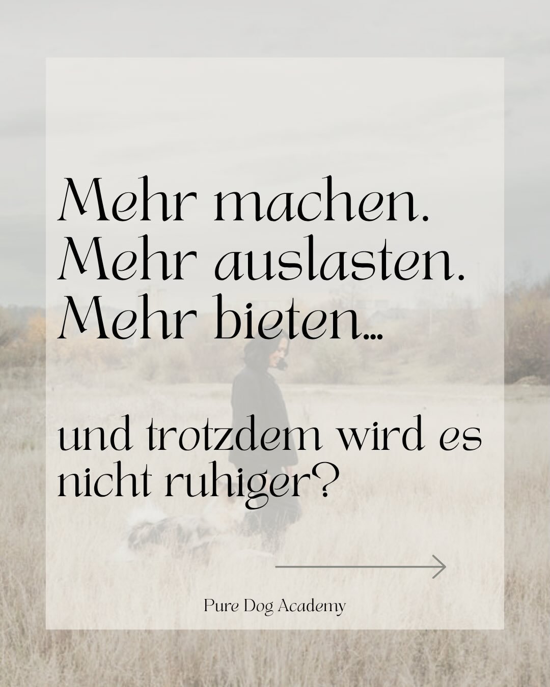 Weniger Action. Mehr Ruhe. 🐾

Ein Hund braucht nicht stundenlange Besch&auml;ftigung, 
sondern die F&auml;higkeit, abzuschalten.

✨ Qualit&auml;t statt Quantit&auml;t 
✨ Ruhe ist erlernbar

Nicht der m&uuml;de gespielte Hund ist entspannt &ndash; 
s