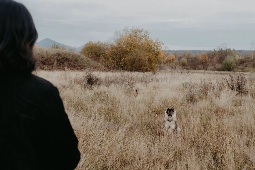 Person steht im Feld und schaut auf einen Hund, der in den Gräsern sitzt, im Hintergrund Bäume und Berge, herbstliche Landschaft.