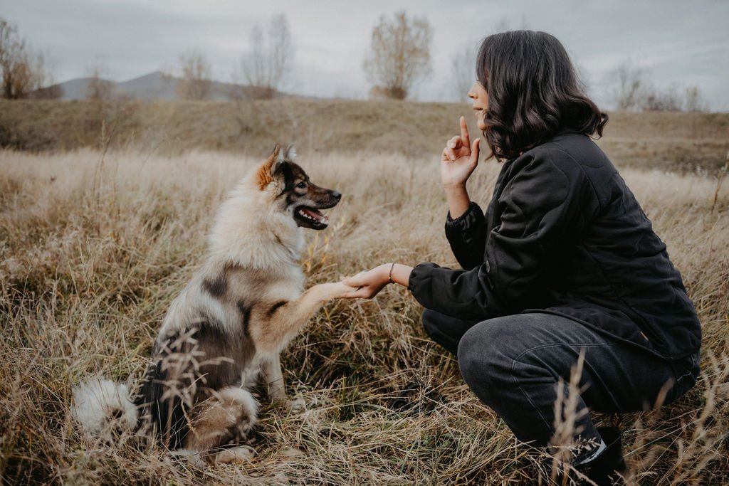 Frau kniet im Feld, die Hand eines Hundes im Maul haltend, während sie mit einem spielerischen Hund spricht.