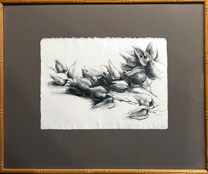 “Seedpods” 