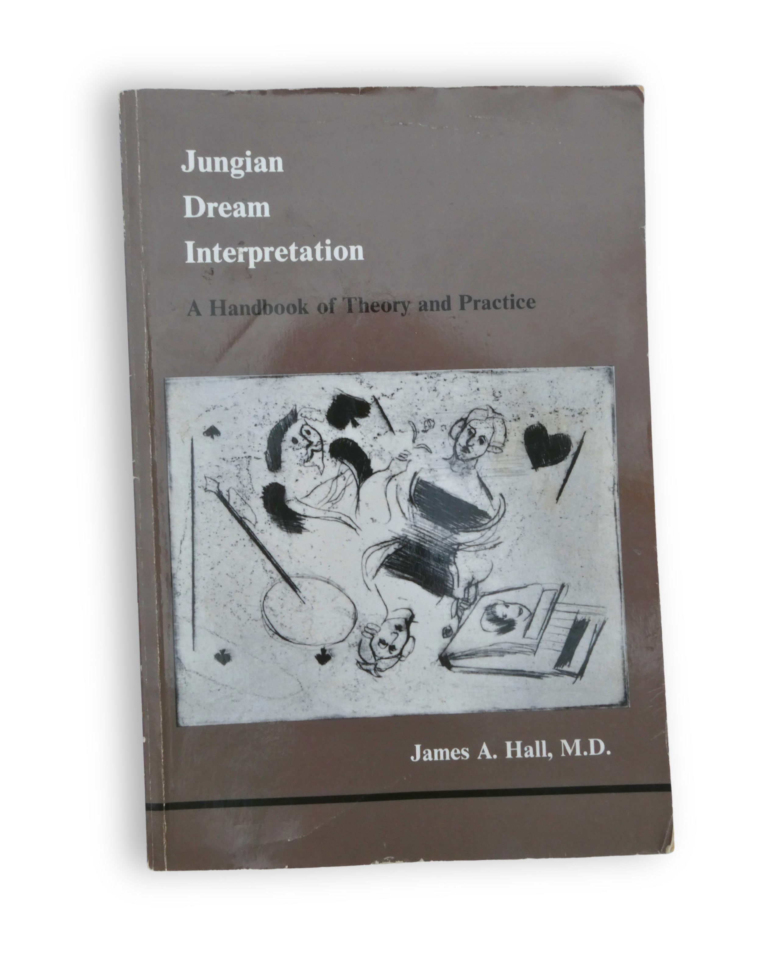 Jungian Dream Theory Book