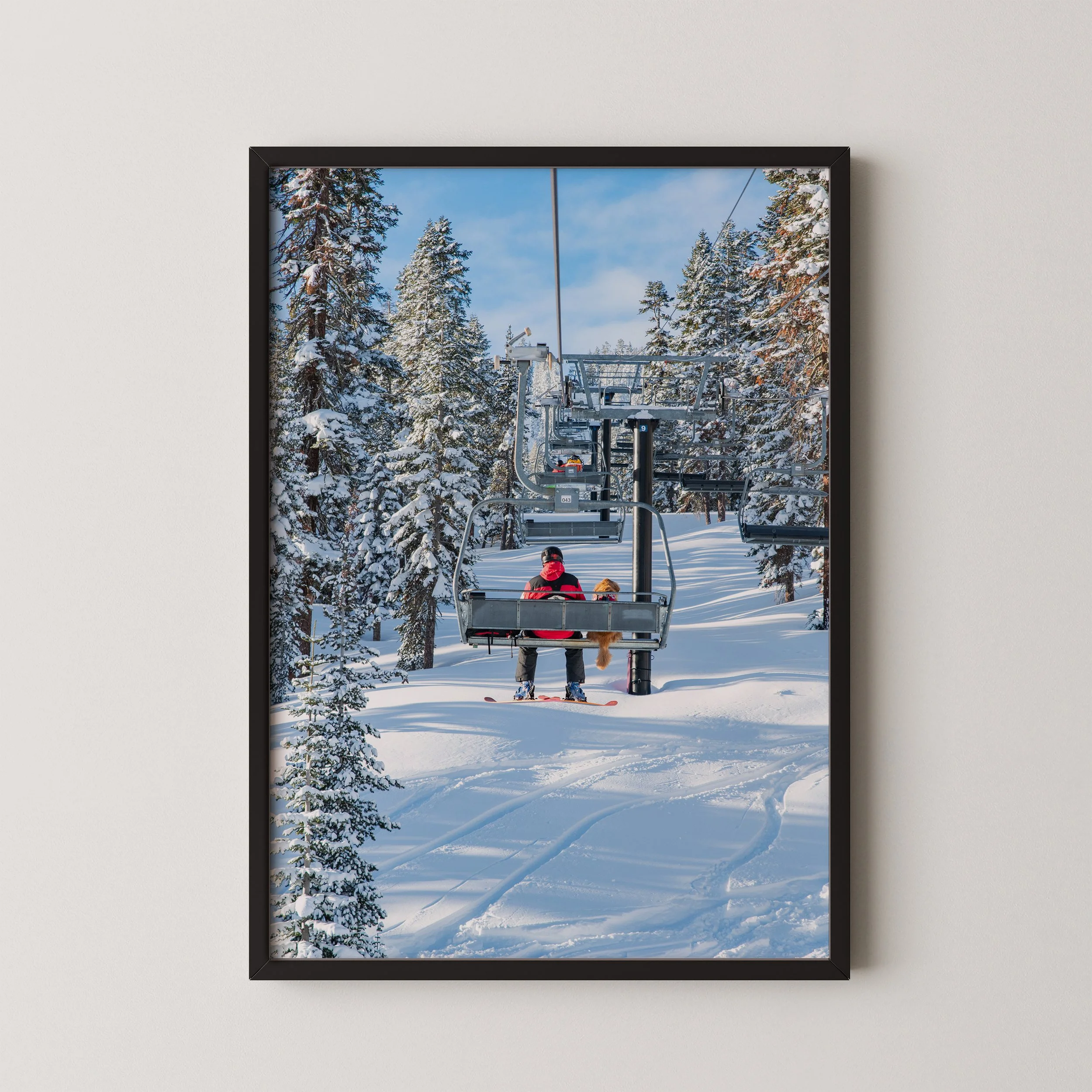 2021_01_30_am_Ski_dogs-4_mock_up.jpg