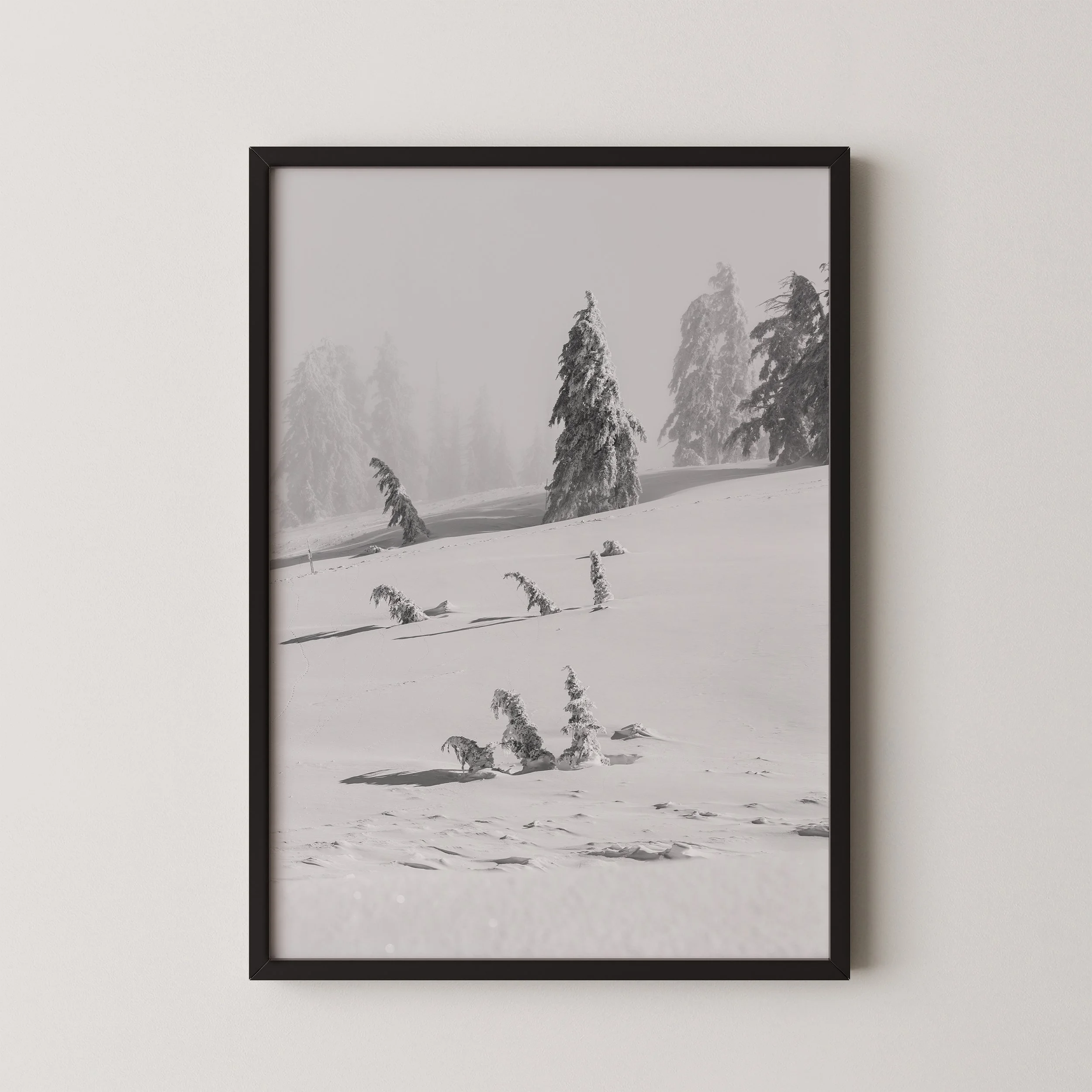 2022_03_30_PTAM_BK_Alpine_Scenics_Action_POW-7_mock_up.jpg