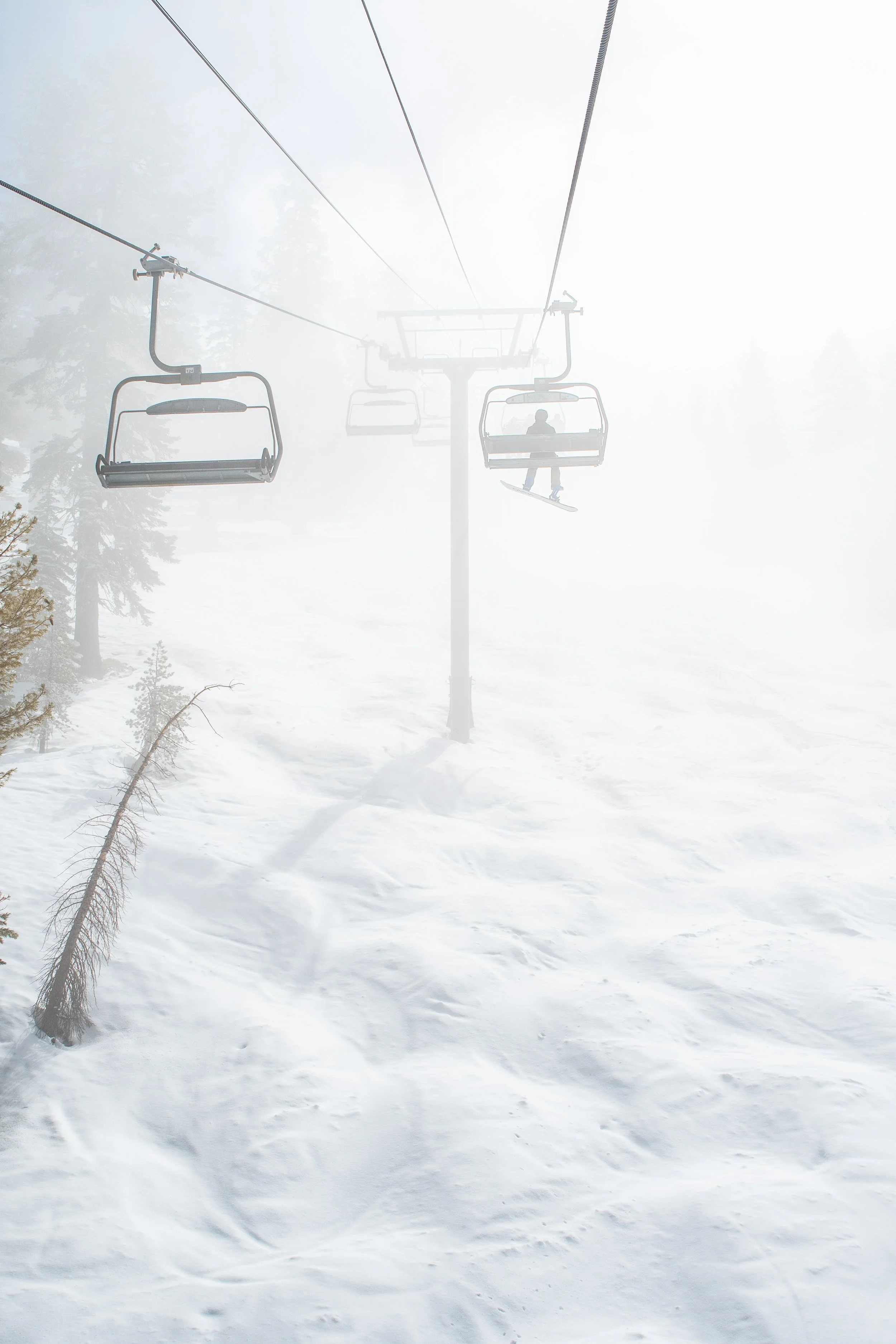 2022_03_29_Northstar-44_Etsy1.jpg