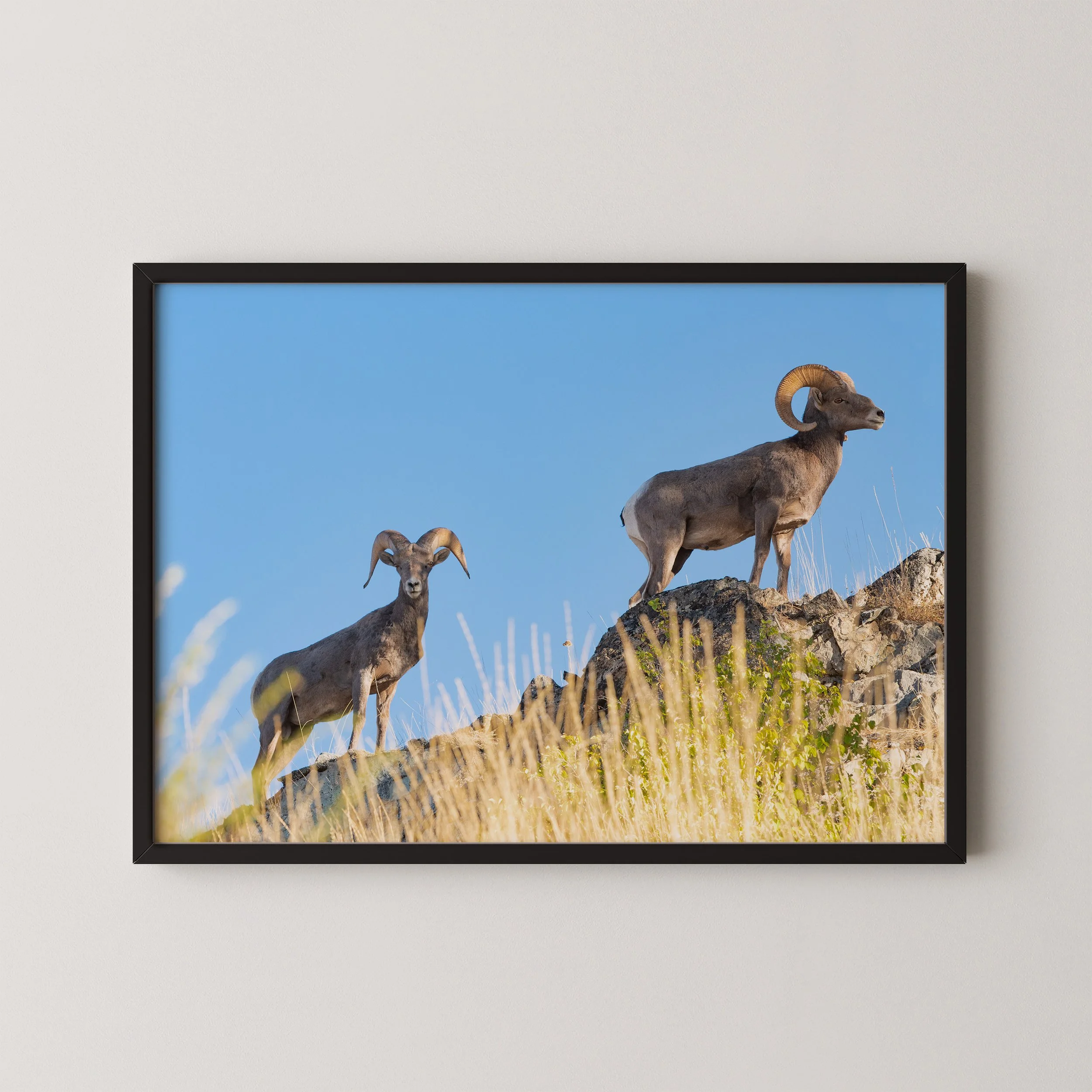 2020_09_01_Chelan_Lake_2_1_mock_up.jpg