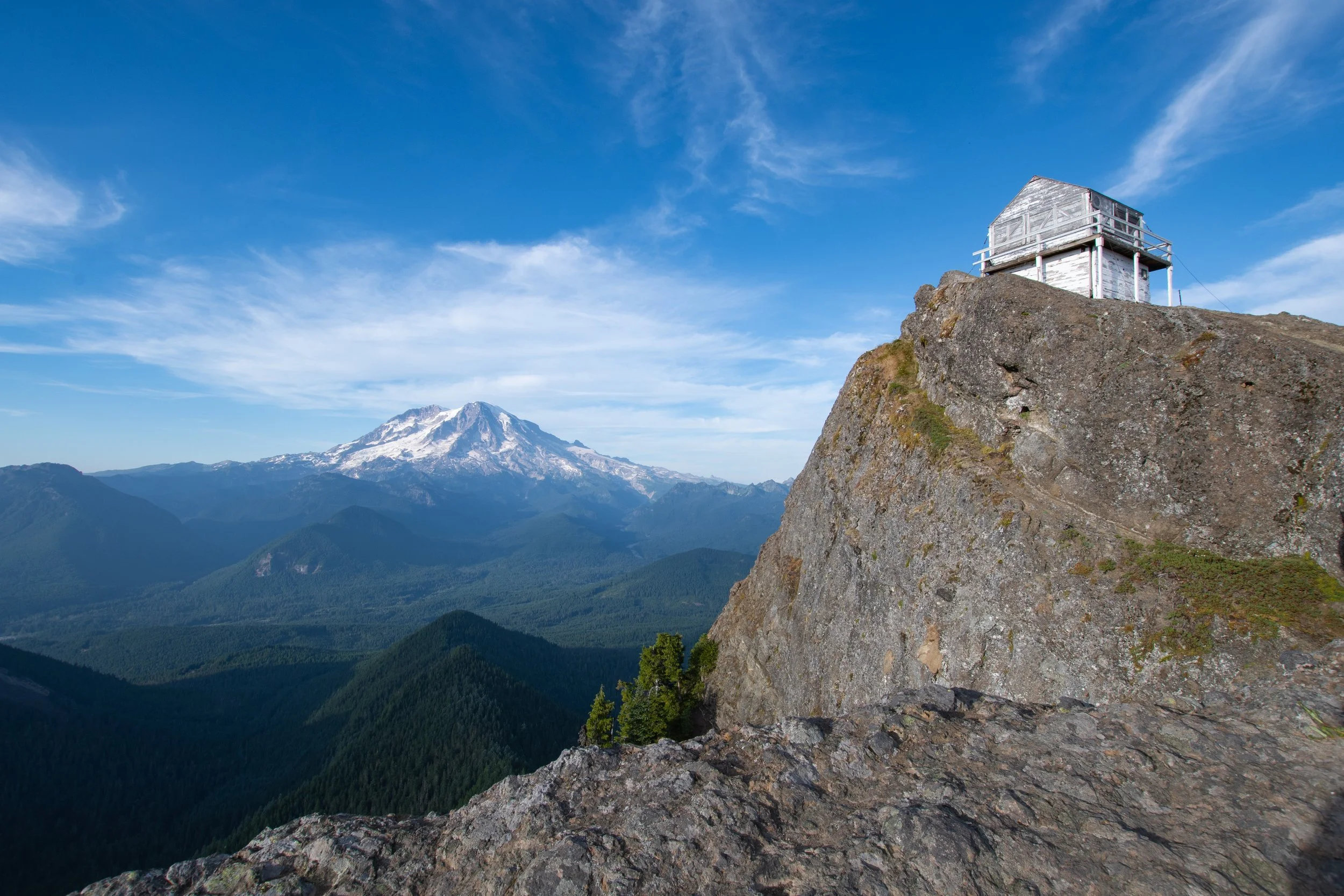 8_19_2020_Rainer-2.jpg