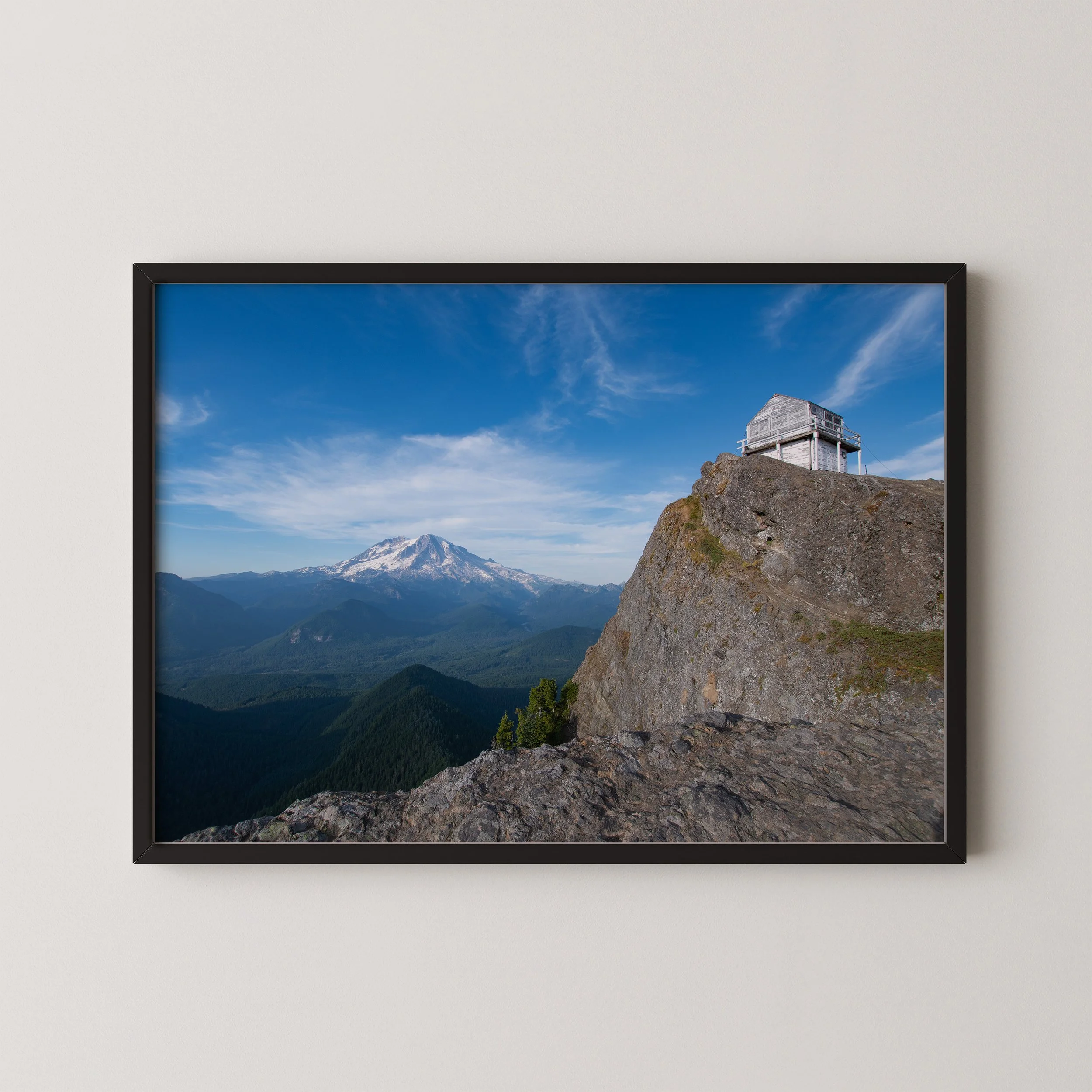 8_19_2020_Rainer-2_mock_up.jpg