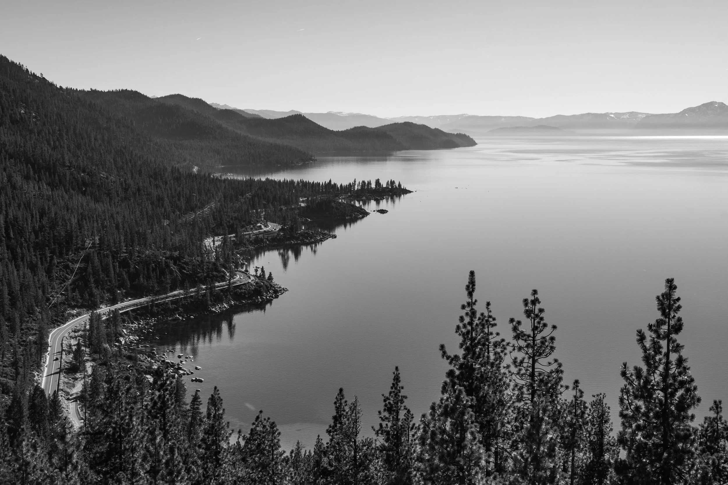 eastshore2-2.jpg