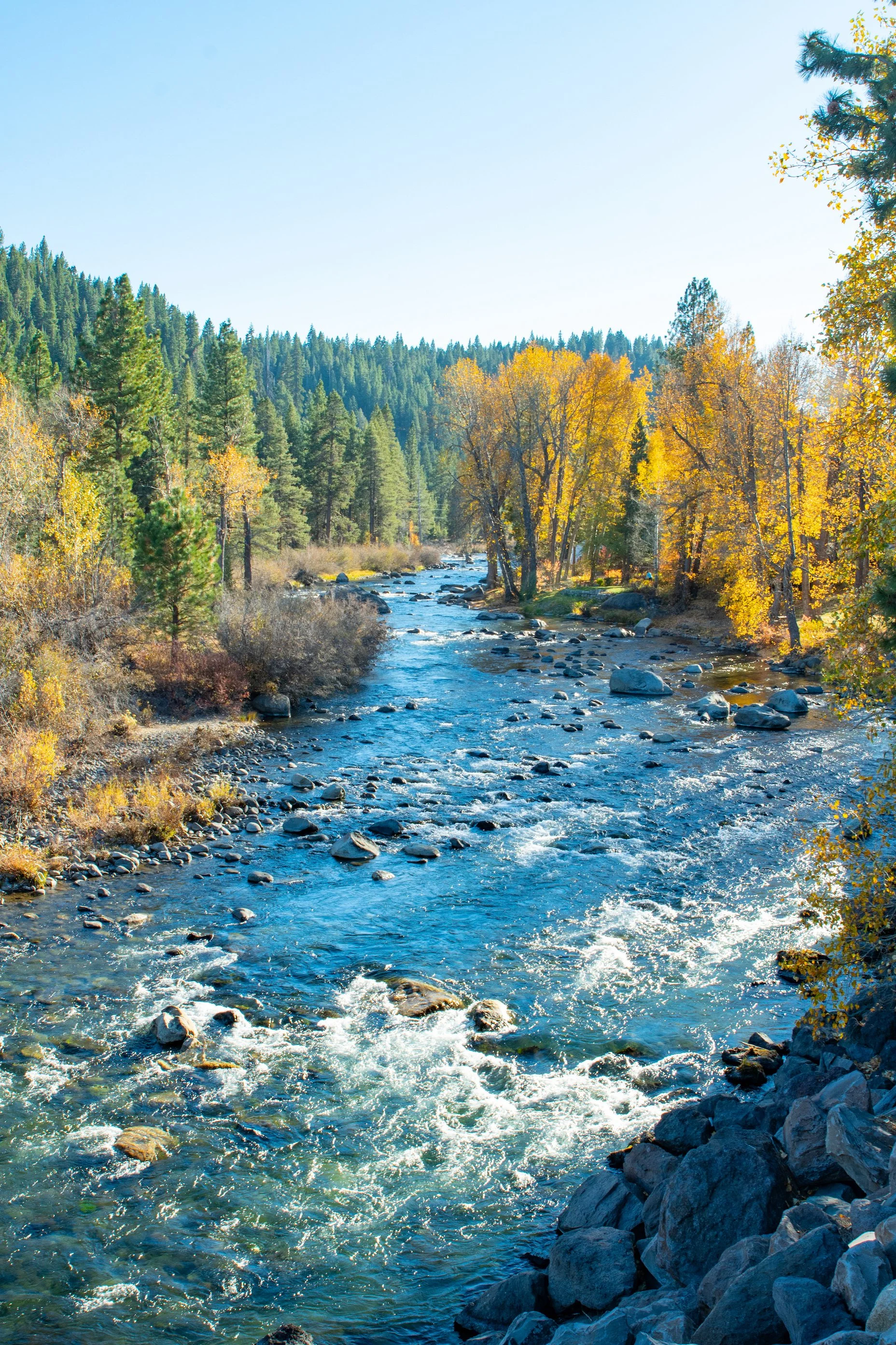truckeefall.jpg