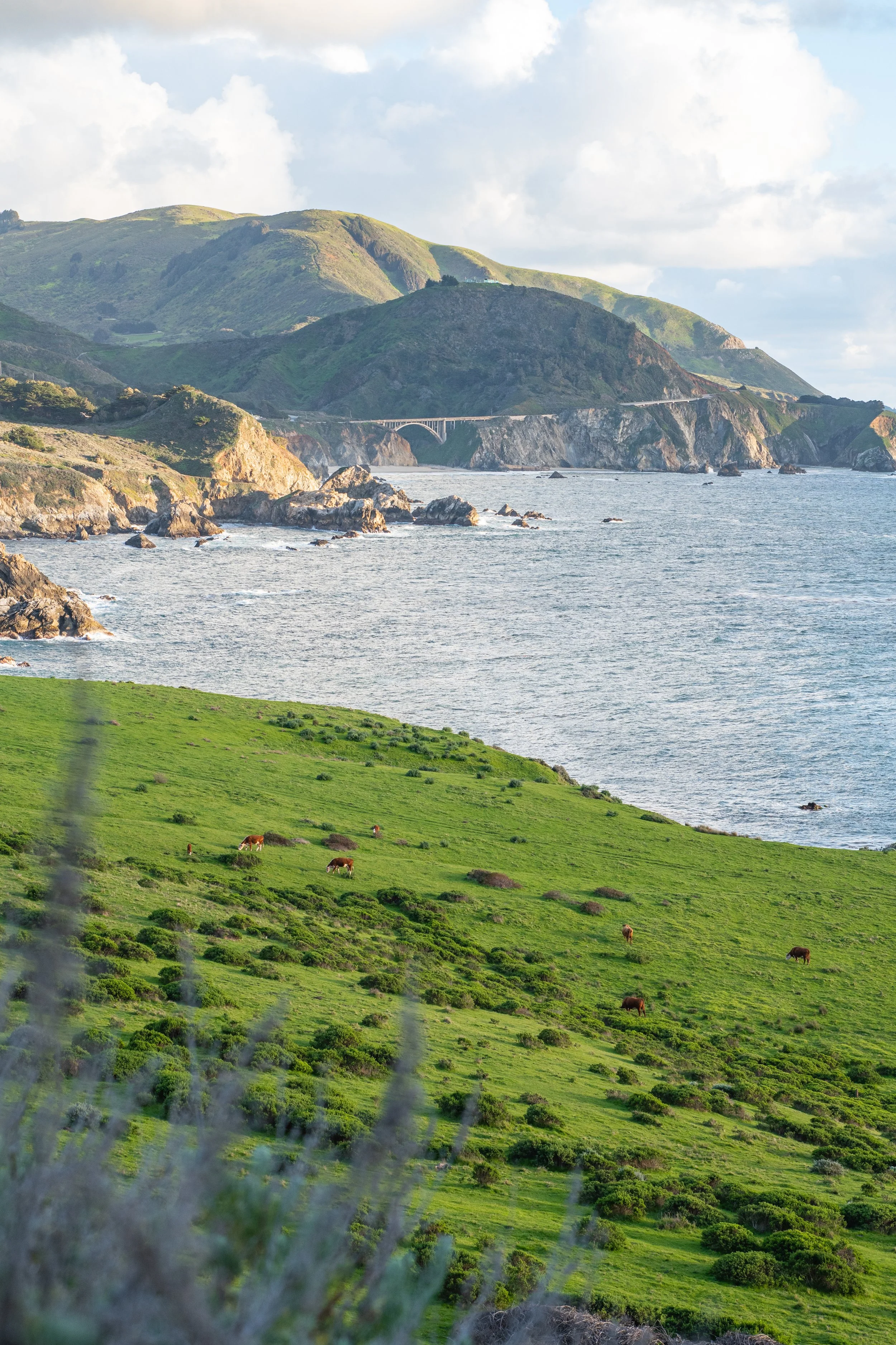 2020_03_25_Truckee_BigSur_3.jpg