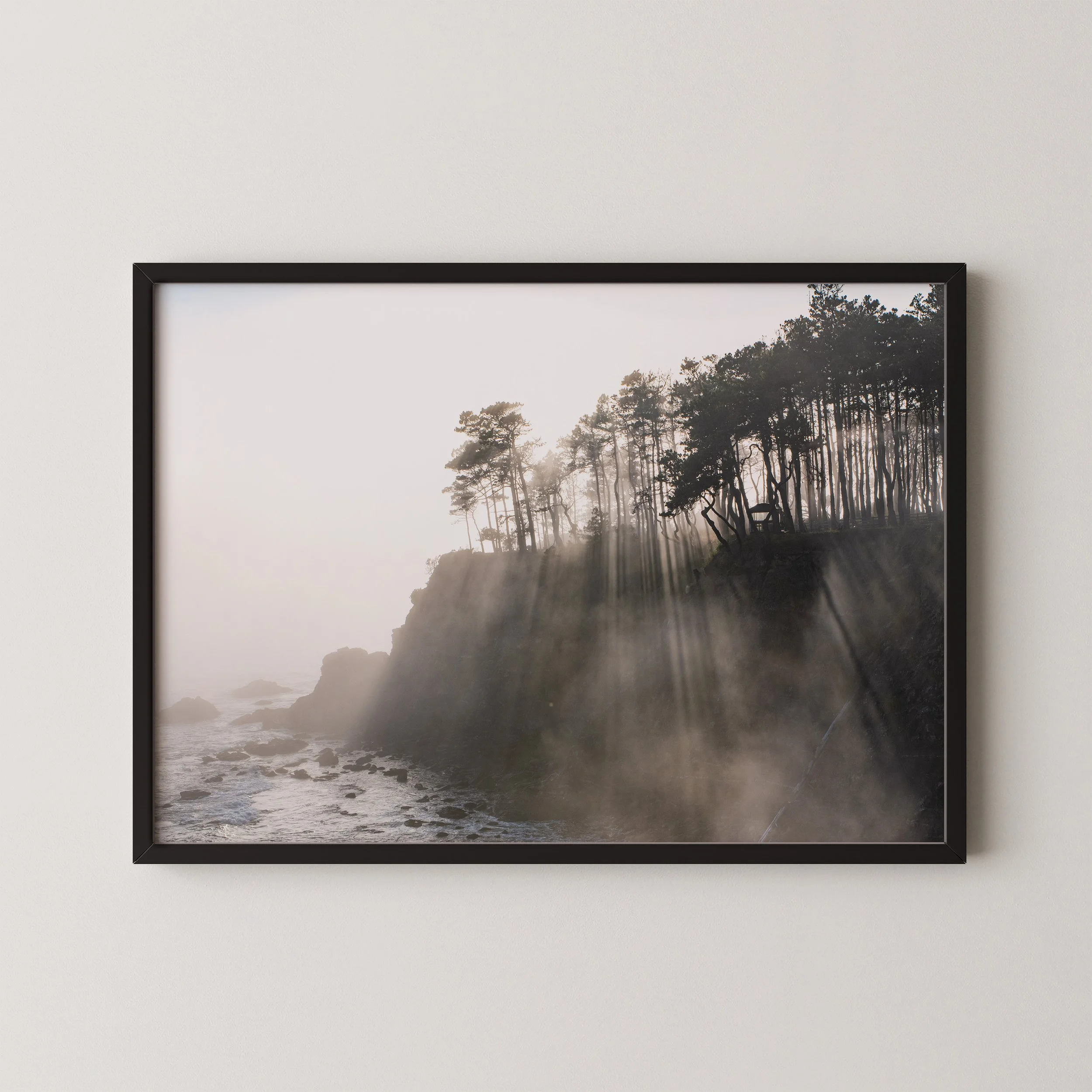 2020_08_10_Lost_Coast_1_mock_up.jpg
