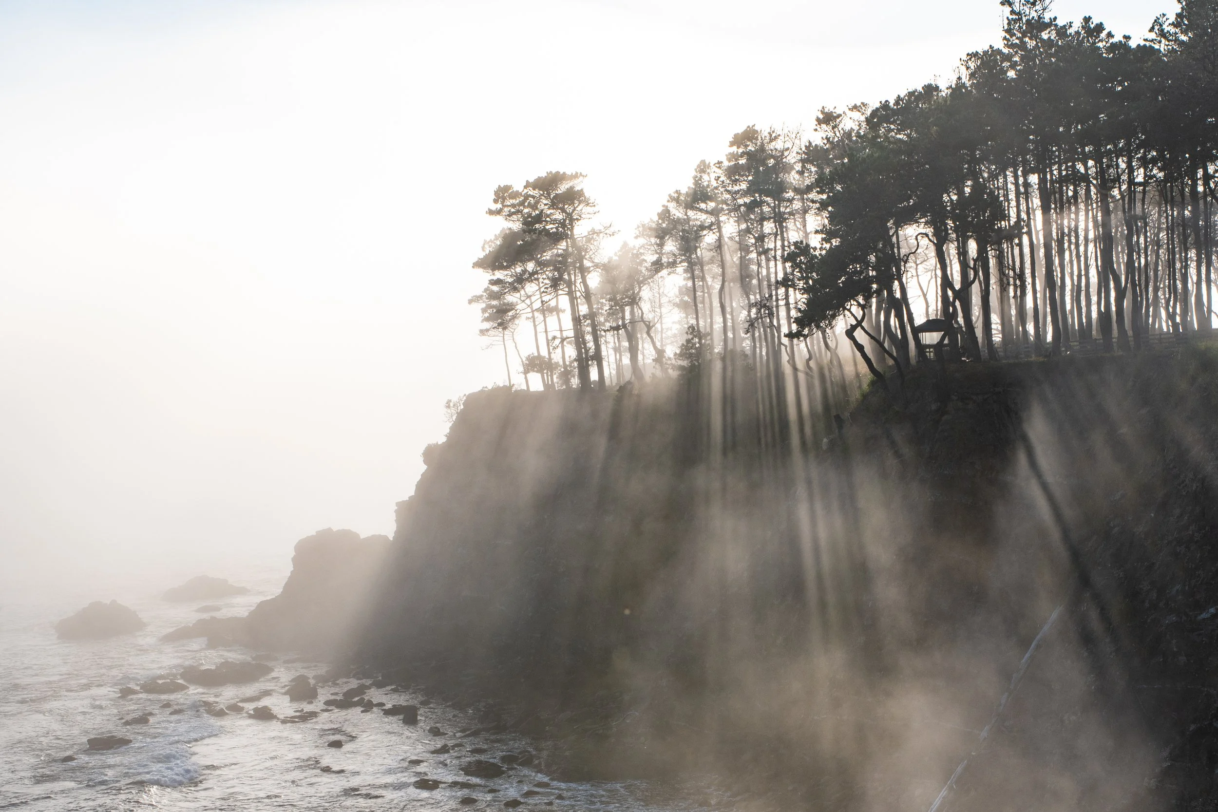 2020_08_10_Lost_Coast_1.jpg