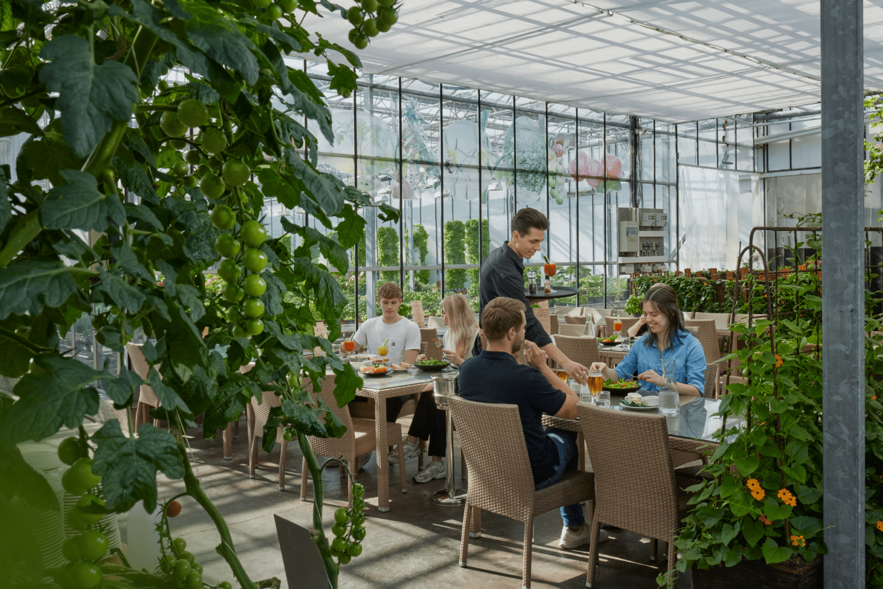 Guests enjoying a farm-to-table dining experience inside the Fridheimar greenhouse in Iceland, surrounded by lush tomato plants — part of an exclusive Iceland luxury travel experience.