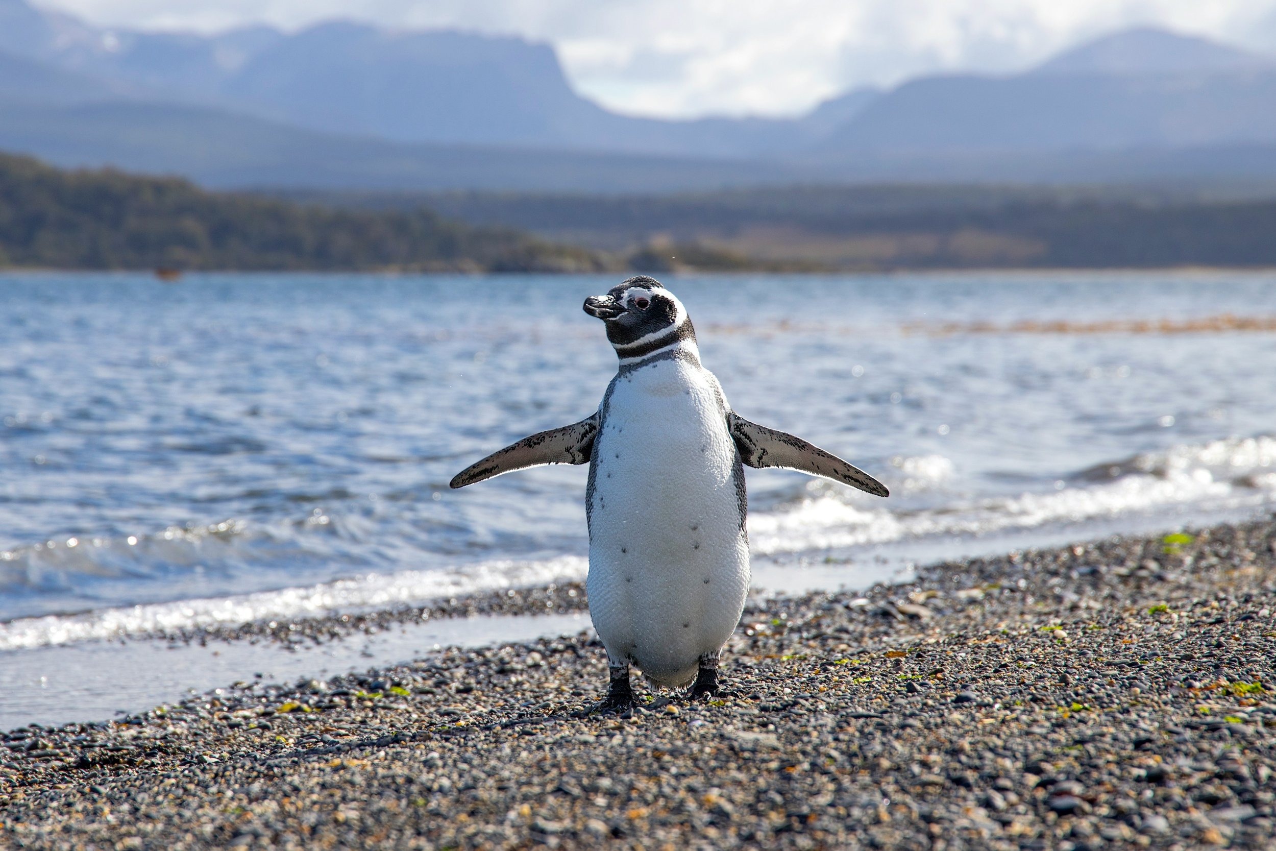 argentina_ushuaa_diglore_travel.jpg