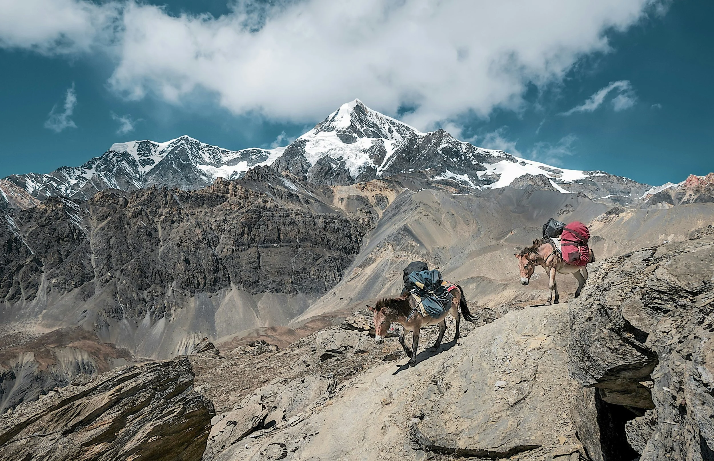 Himalaya_treks_diglore_travel.jpg