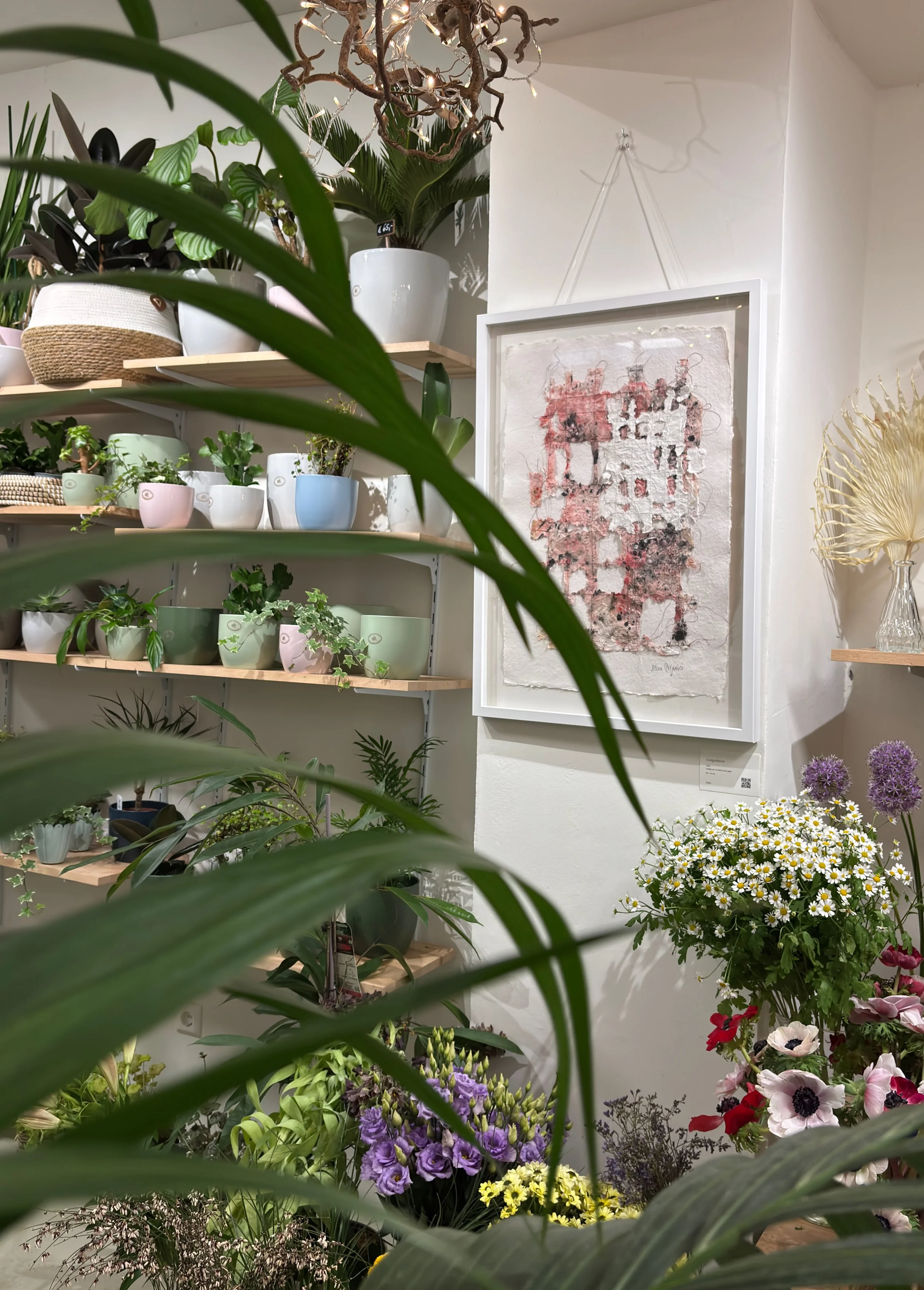 Indoor plant store display with various potted plants, shelves, and wall art.