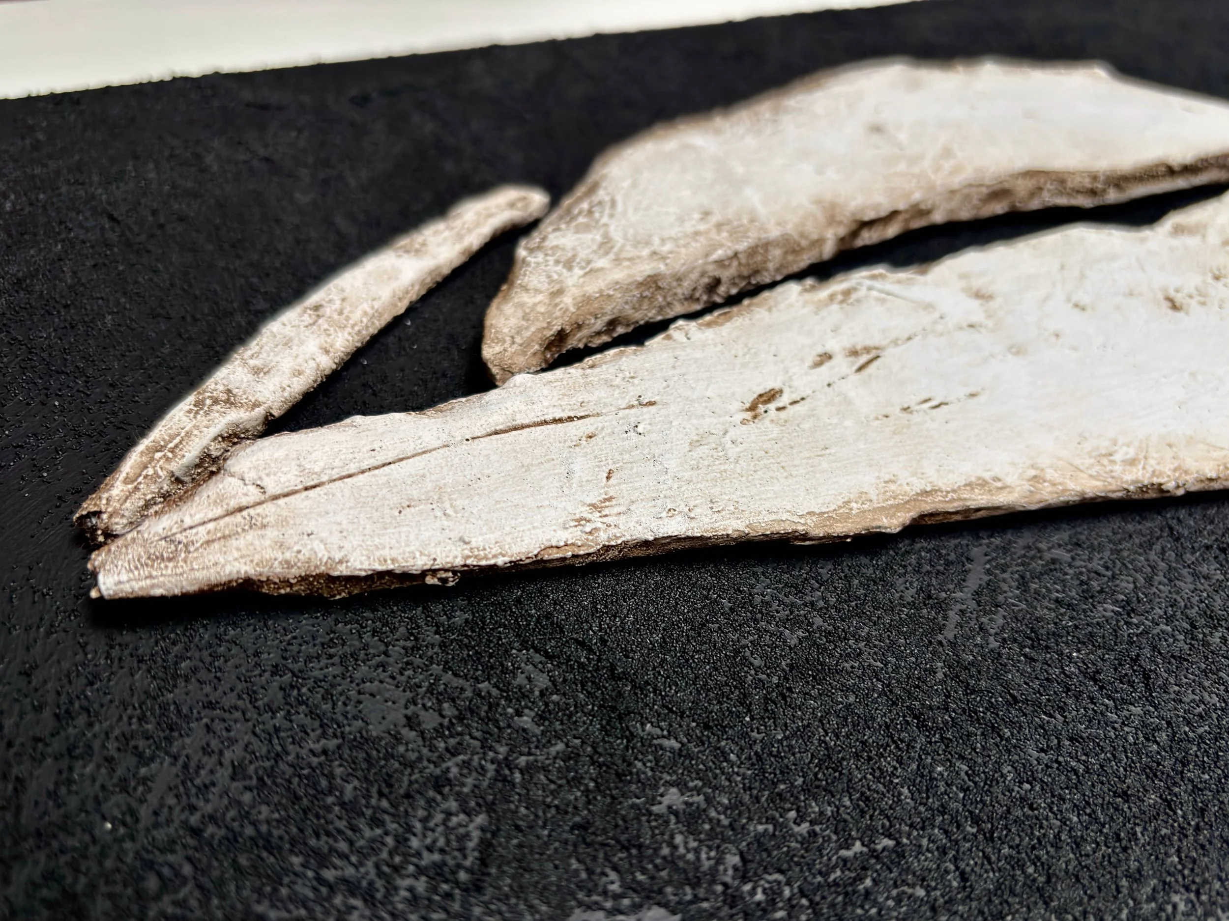 Close-up low relief of three dried leaf fragments on a black textured surface.