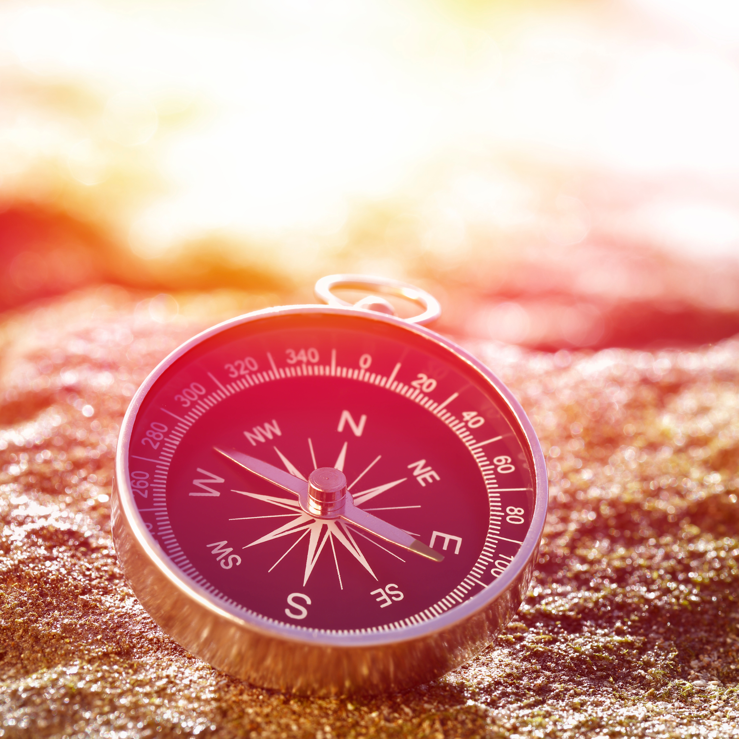 True North: Basic Support